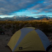 Review photo of Fresno — Big Bend National Park by Whitney L., May 12, 2017