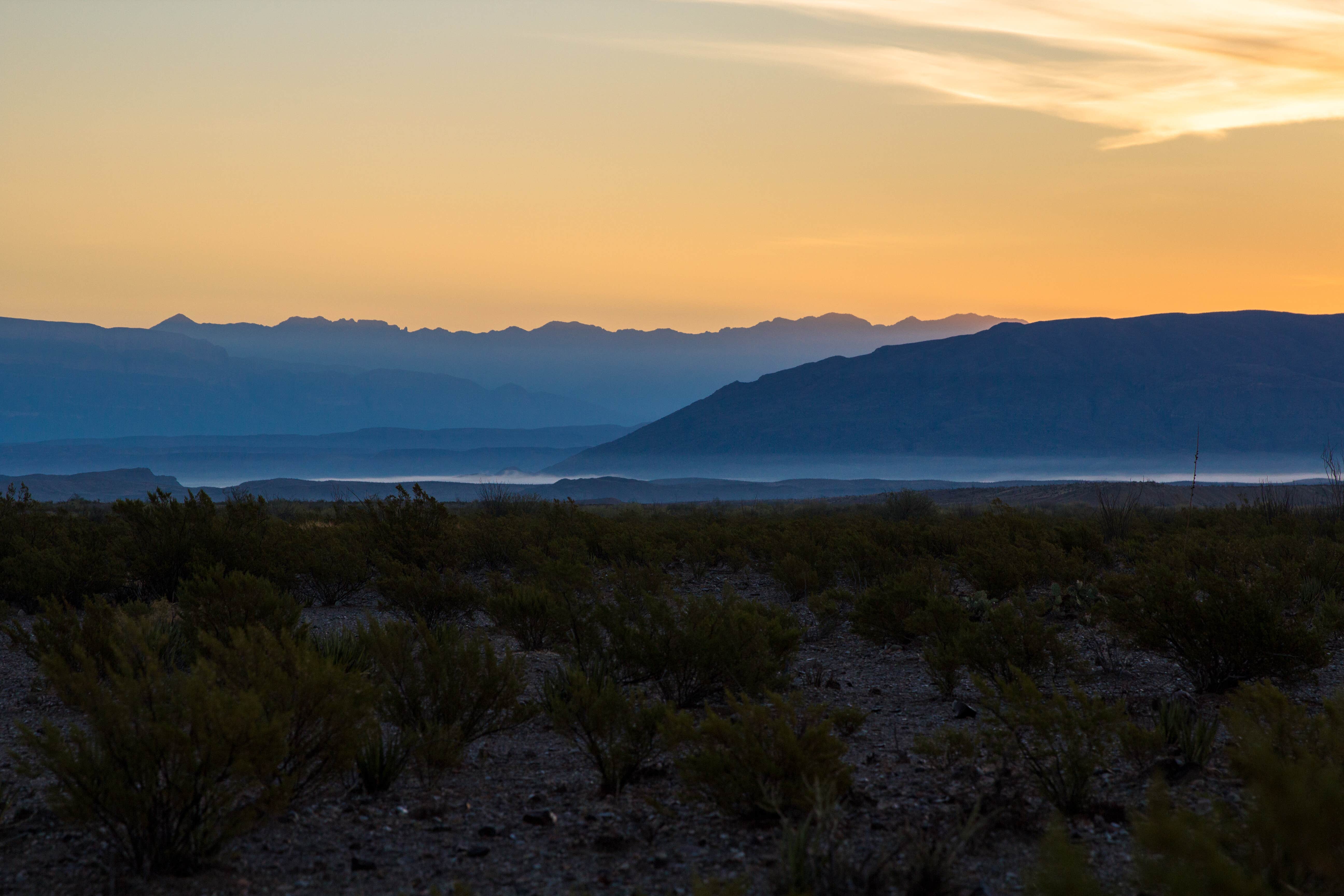 Camper-submitted photo at Fresno — Big Bend National Park near Big Bend National Park