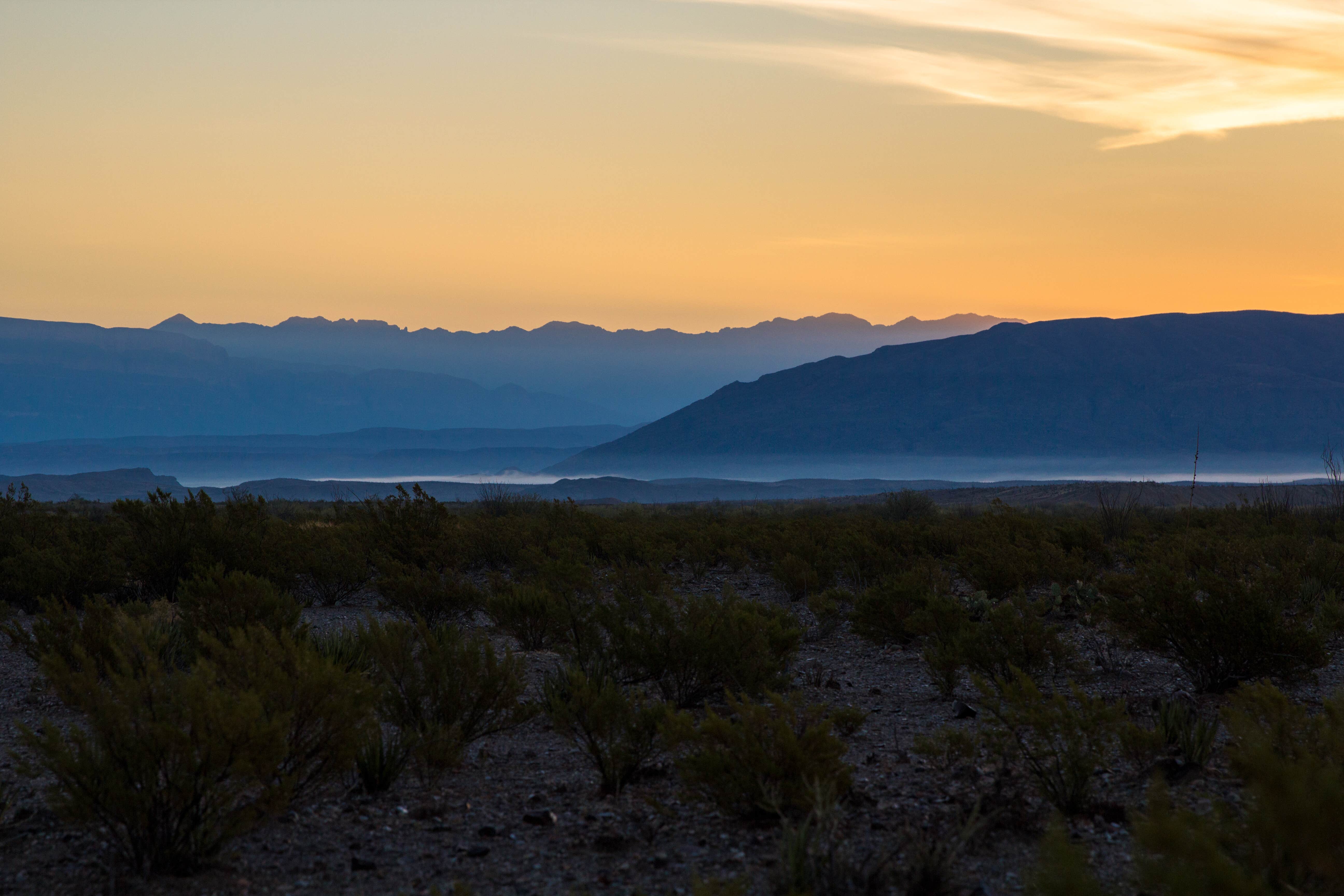 Camper submitted image from Fresno — Big Bend National Park - 2