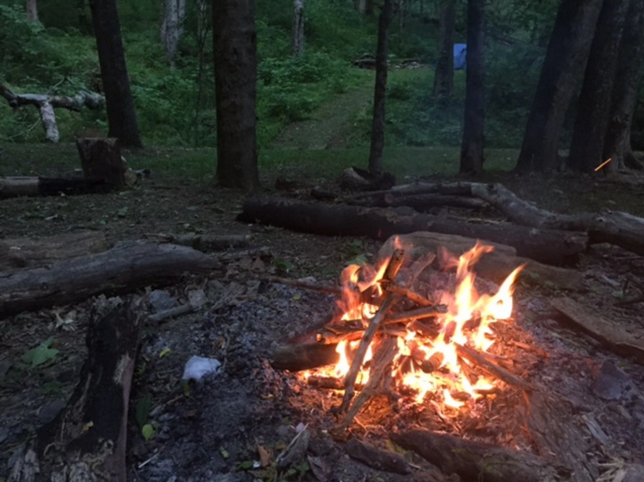 Camper submitted image from Defeated Creek Campground - 4