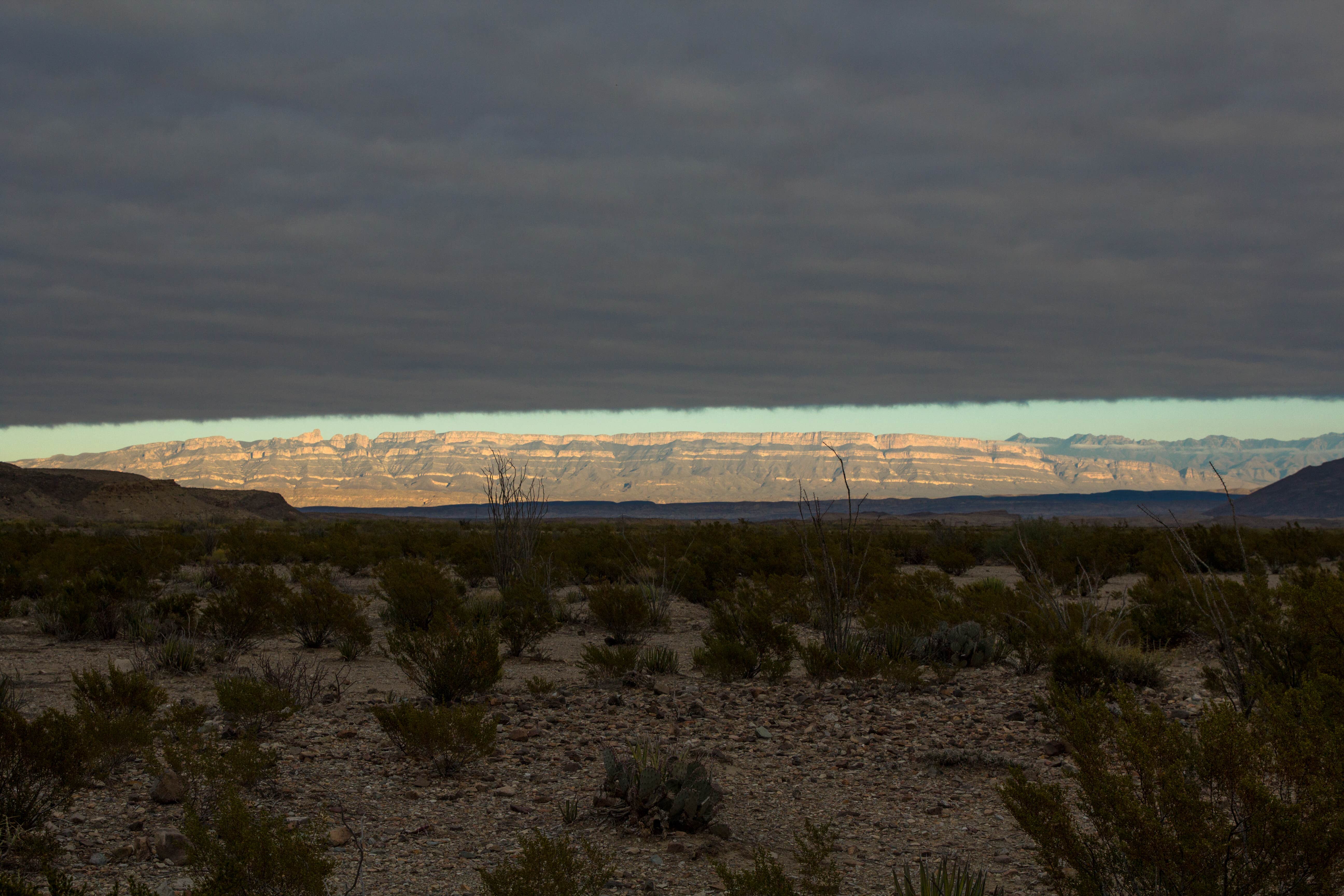 Camper submitted image from Fresno — Big Bend National Park - 1