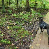 Review photo of Blueberry Patch Campground — Green Mountain & Finger Lakes National Forests by Casey D., May 12, 2017
