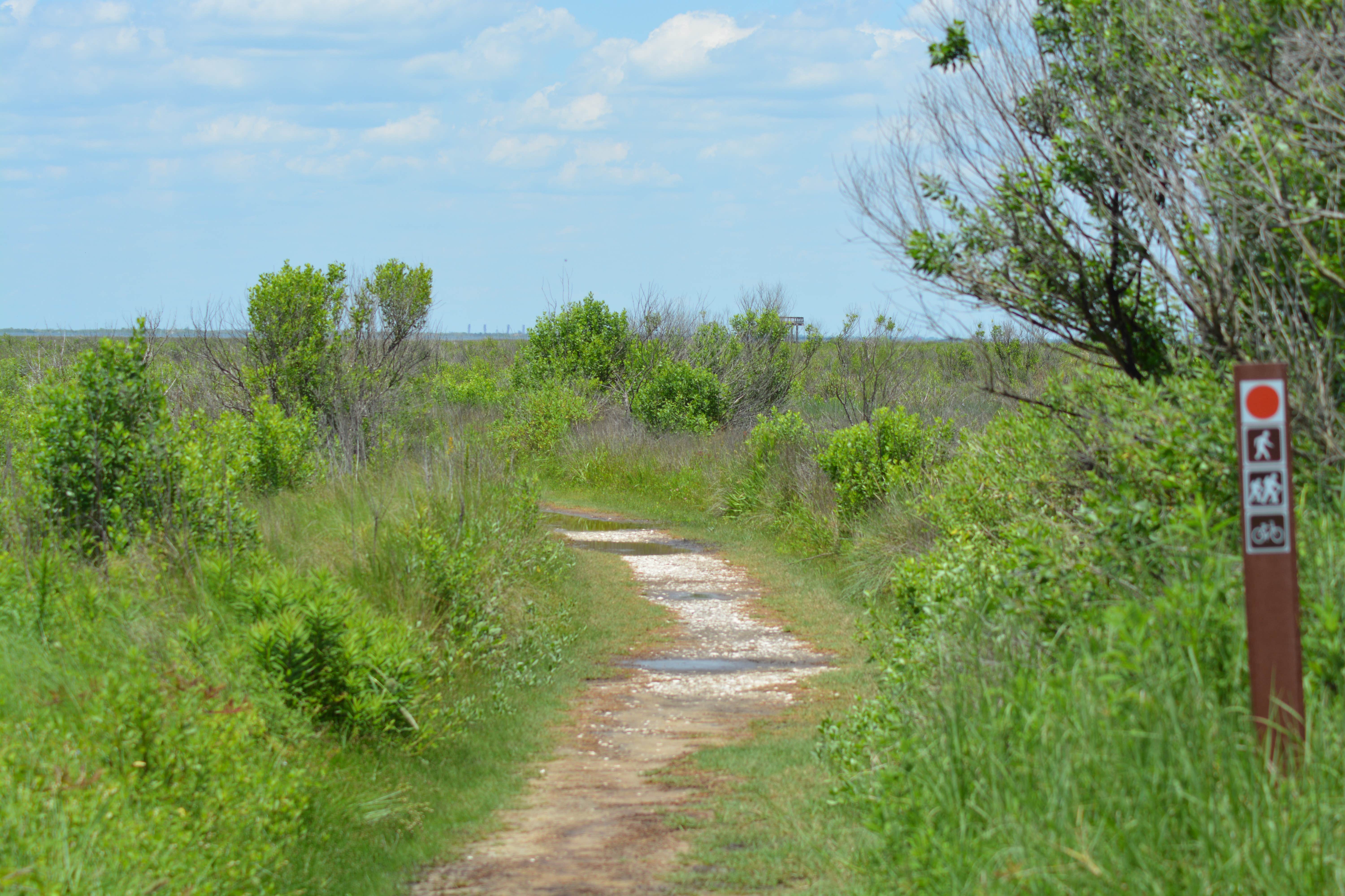 Camper submitted image from Galveston Island State Park Campground - 2