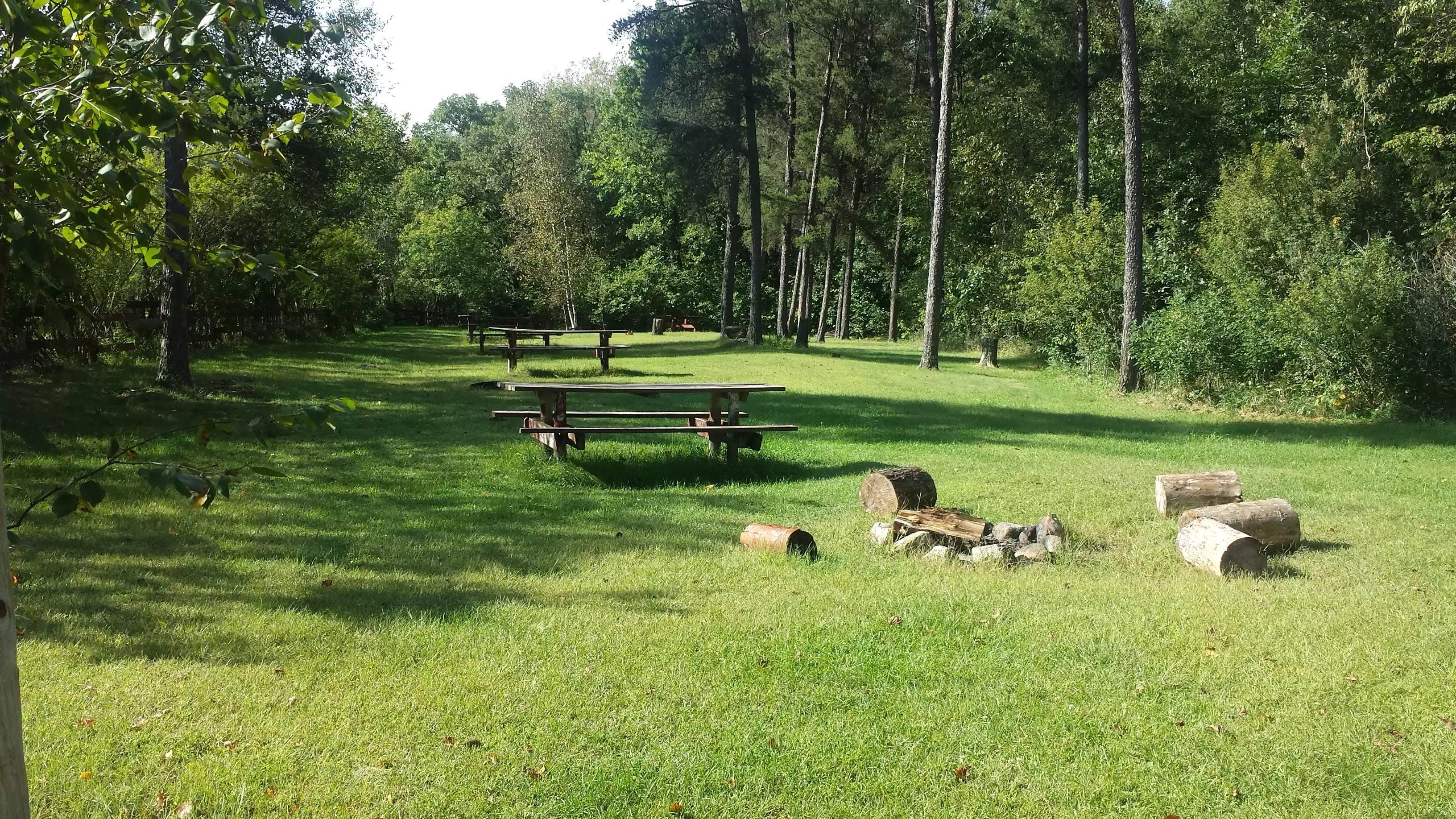 Camper submitted image from Knob Hill - 1