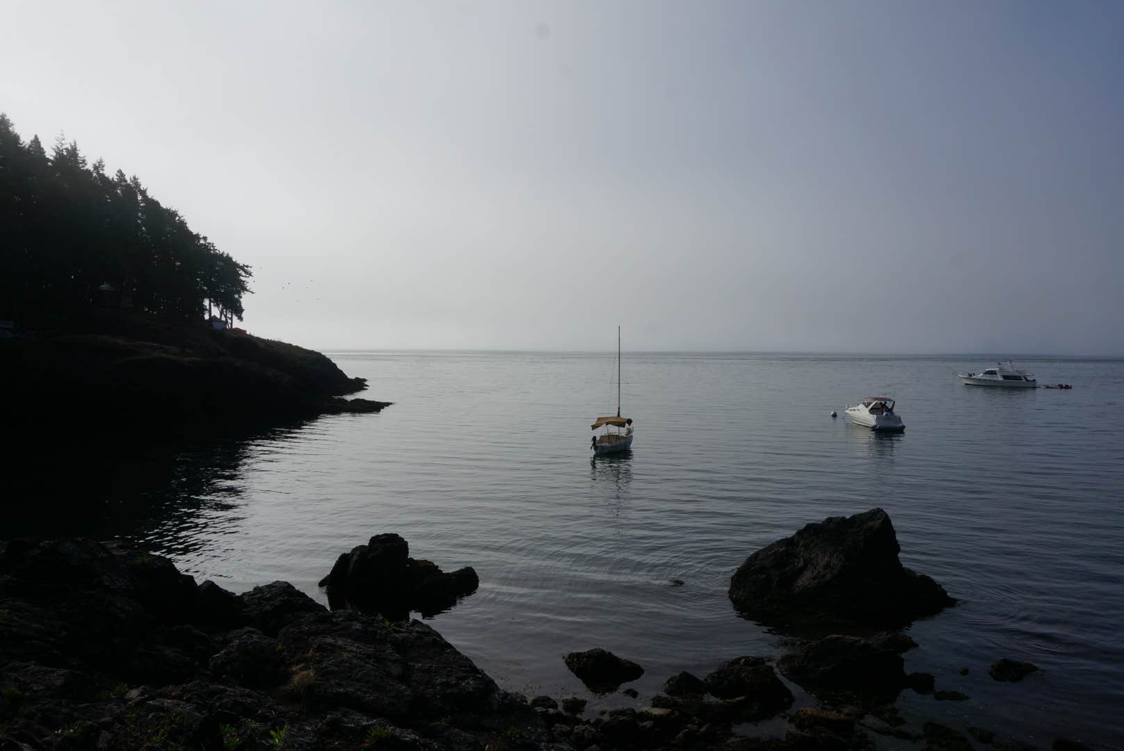 Camper submitted image from Doe Bay Resort & Retreat - 3