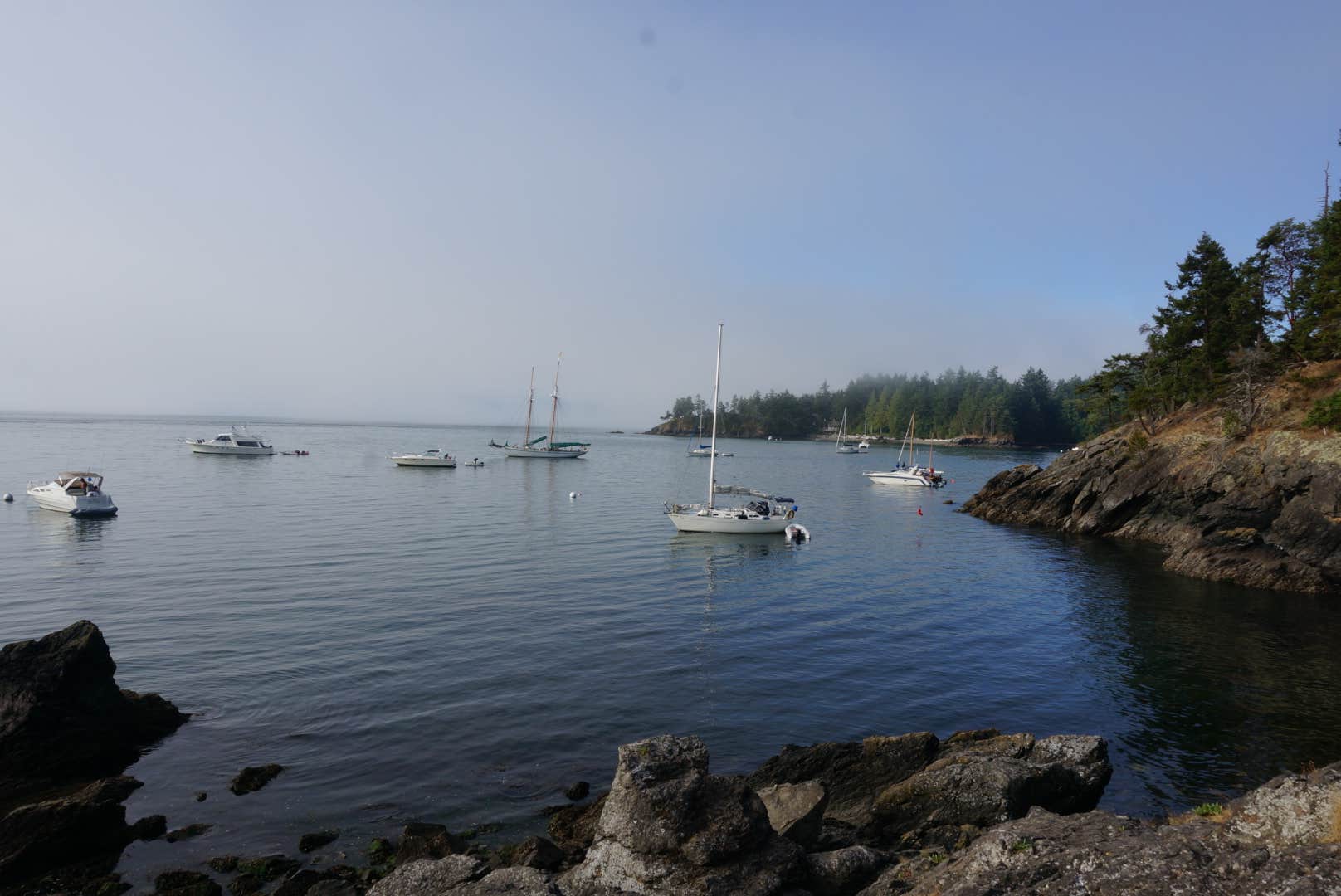 Camper submitted image from Doe Bay Resort & Retreat - 2