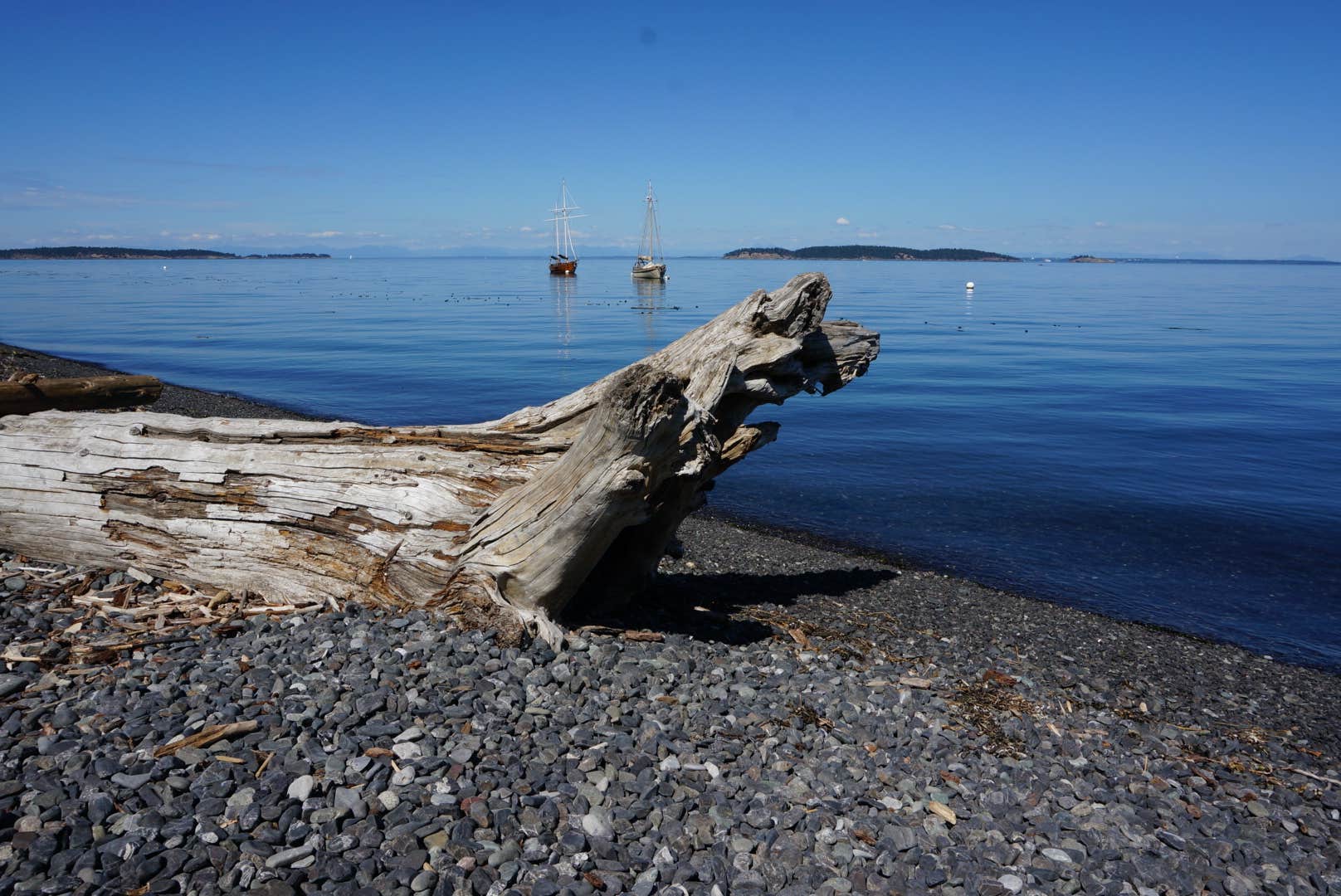 Camper-submitted photo at Doe Bay Resort & Retreat near Lopez Island, WA