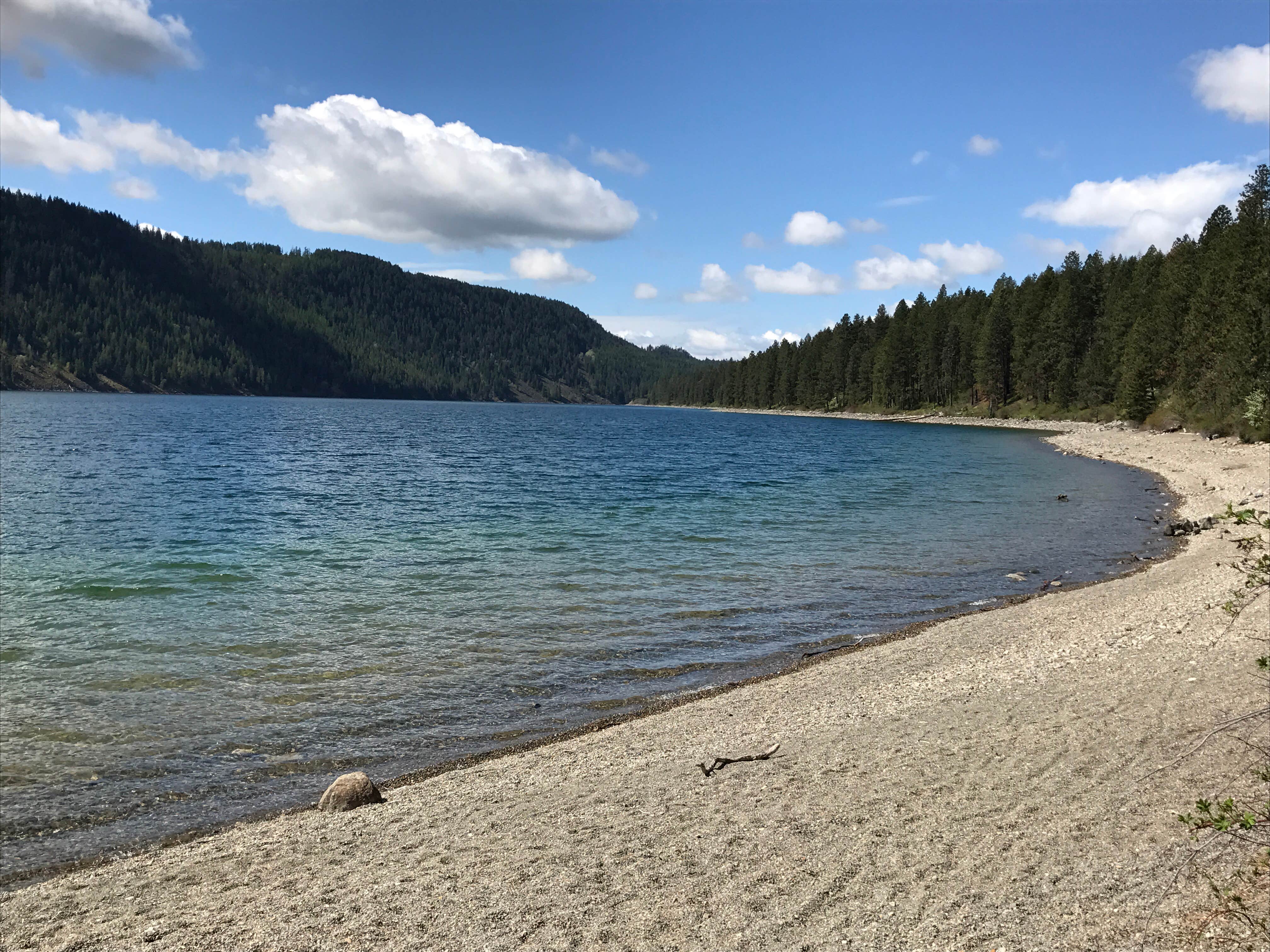 Camper submitted image from Whitetail Campground — Farragut State Park - 2