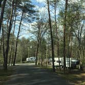 Review photo of Fall Creek Falls State Park Campground by Shelly S., May 14, 2017