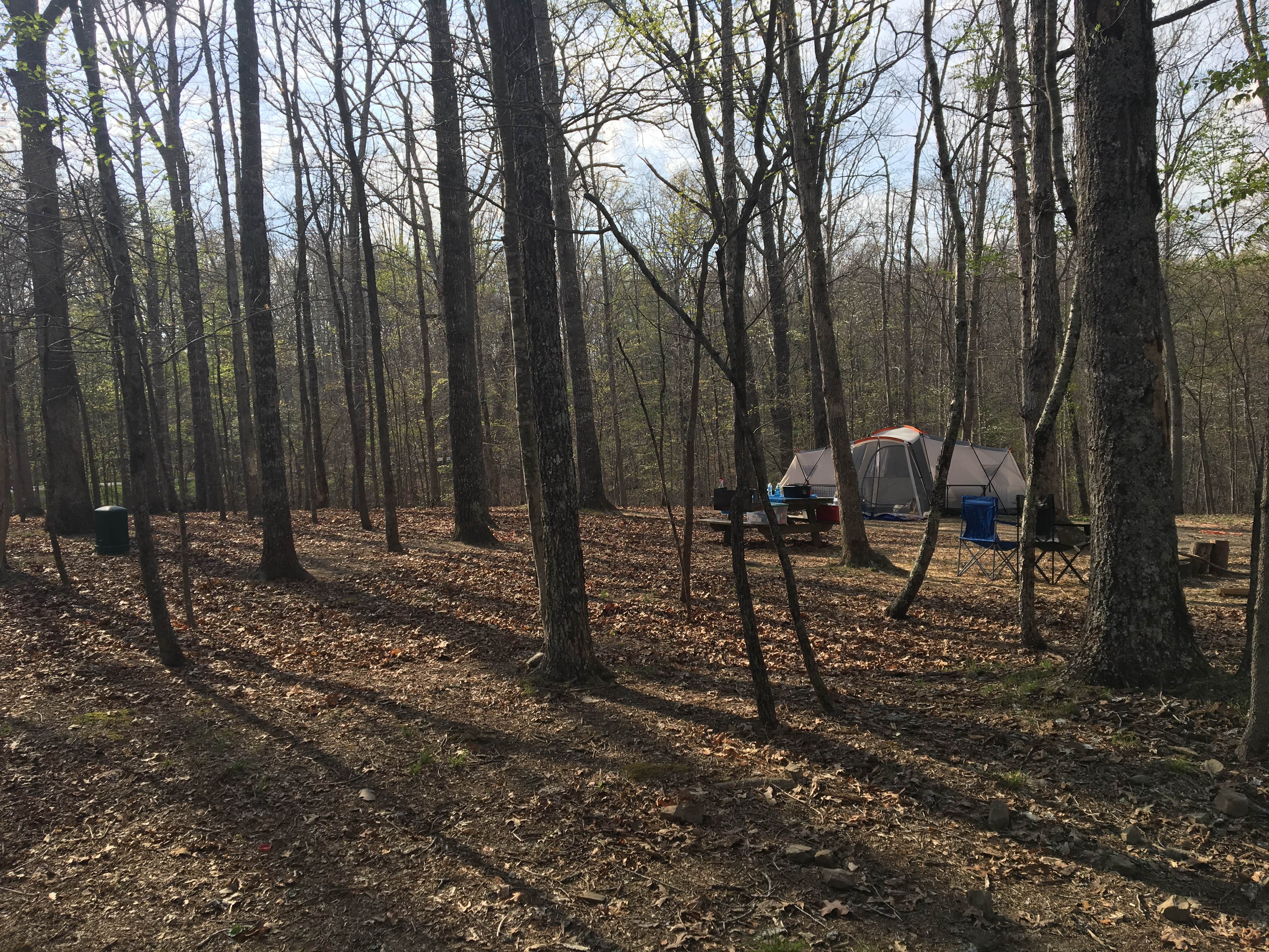 Shelly S.'s photo at Fall Creek Falls State Park Campground near Sale Creek, TN