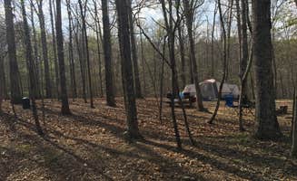 Shelly S.'s photo at Fall Creek Falls State Park Campground near Spencer, TN