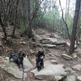 Review photo of Fall Creek Falls State Park Campground by Shelly S., May 14, 2017
