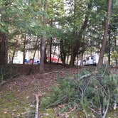 Review photo of Fall Creek Falls State Park Campground by Shelly S., May 14, 2017