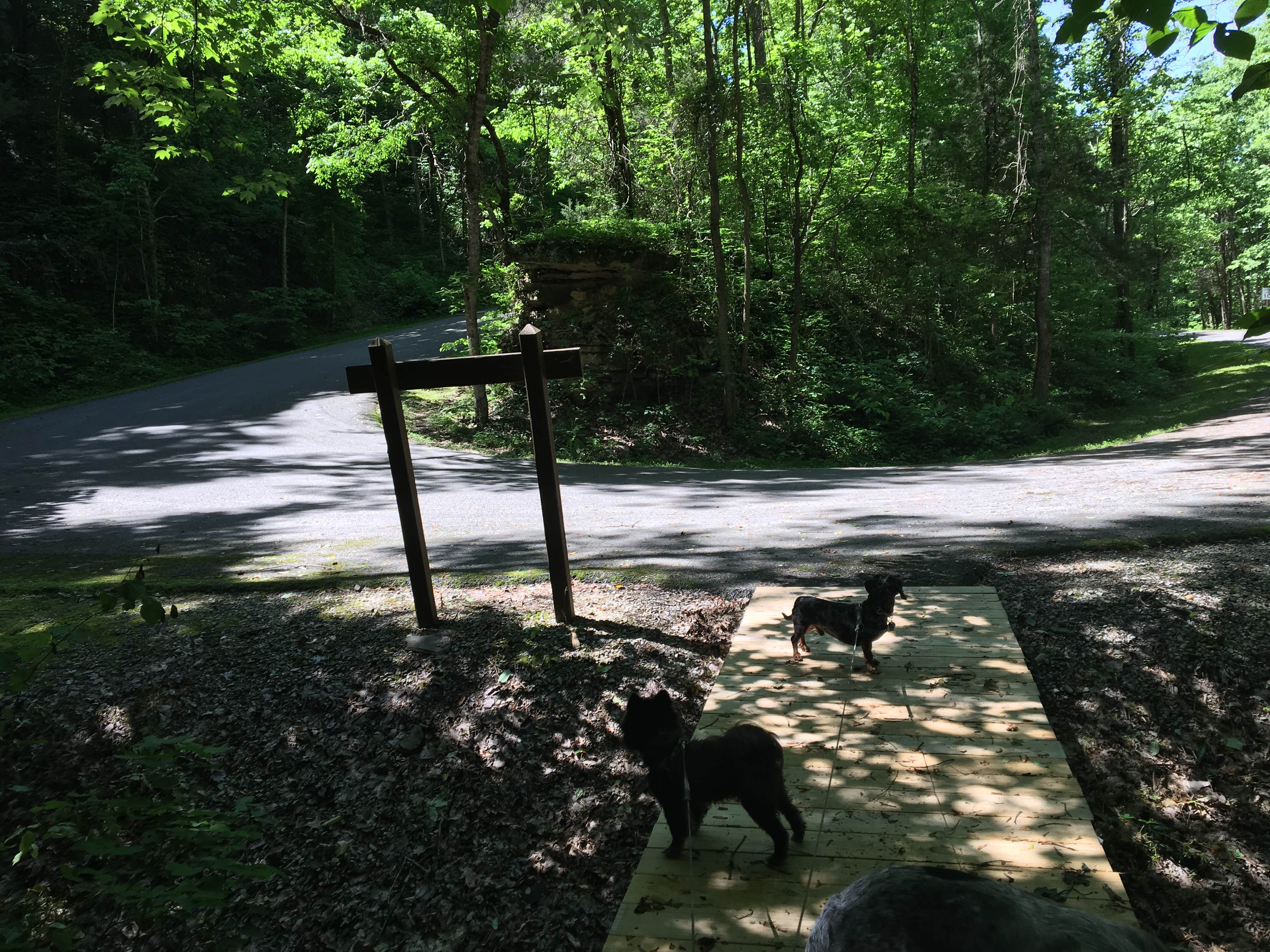 Edgar Evins State Park | The Dyrt