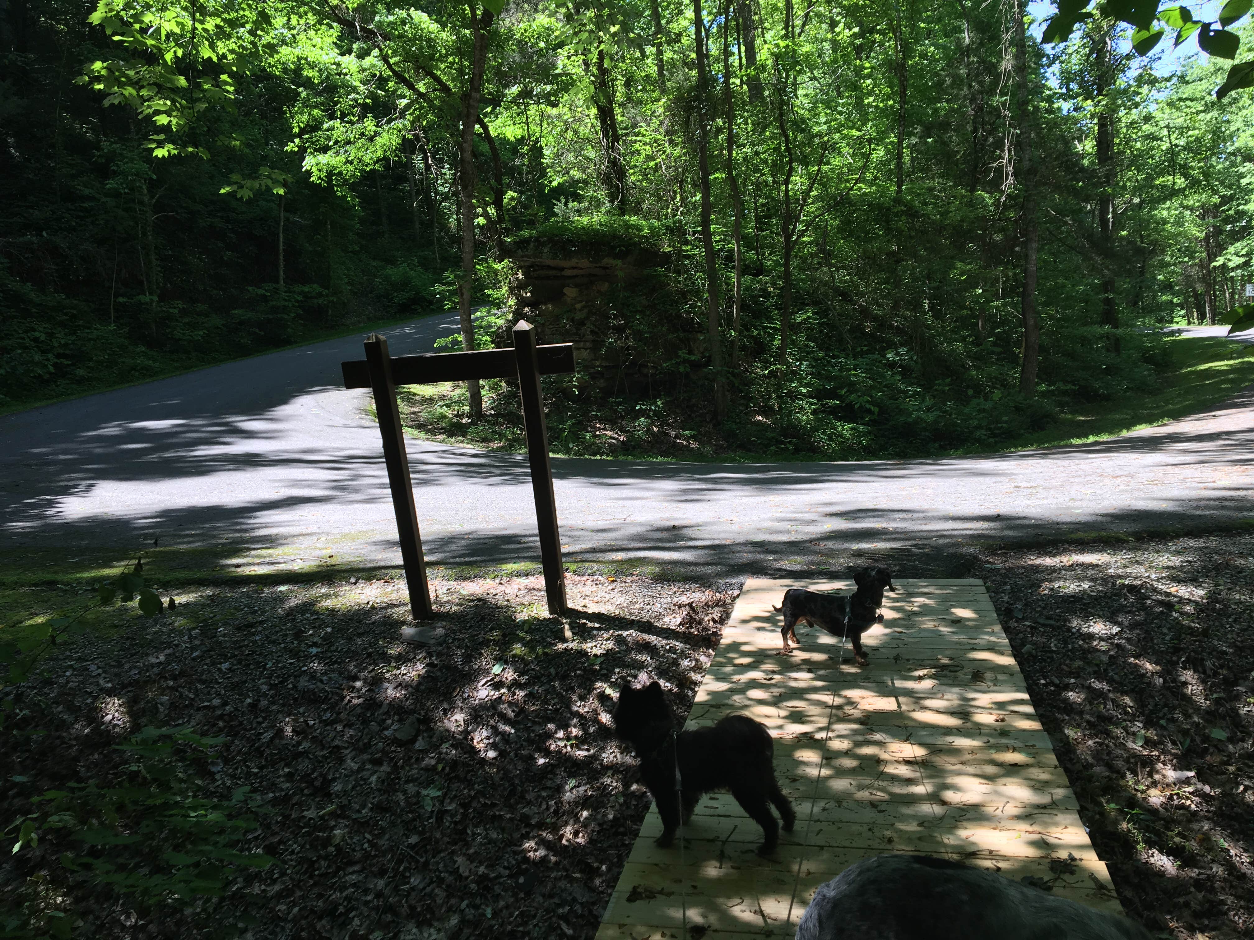 Camper submitted image from Edgar Evins State Park Campground - 5