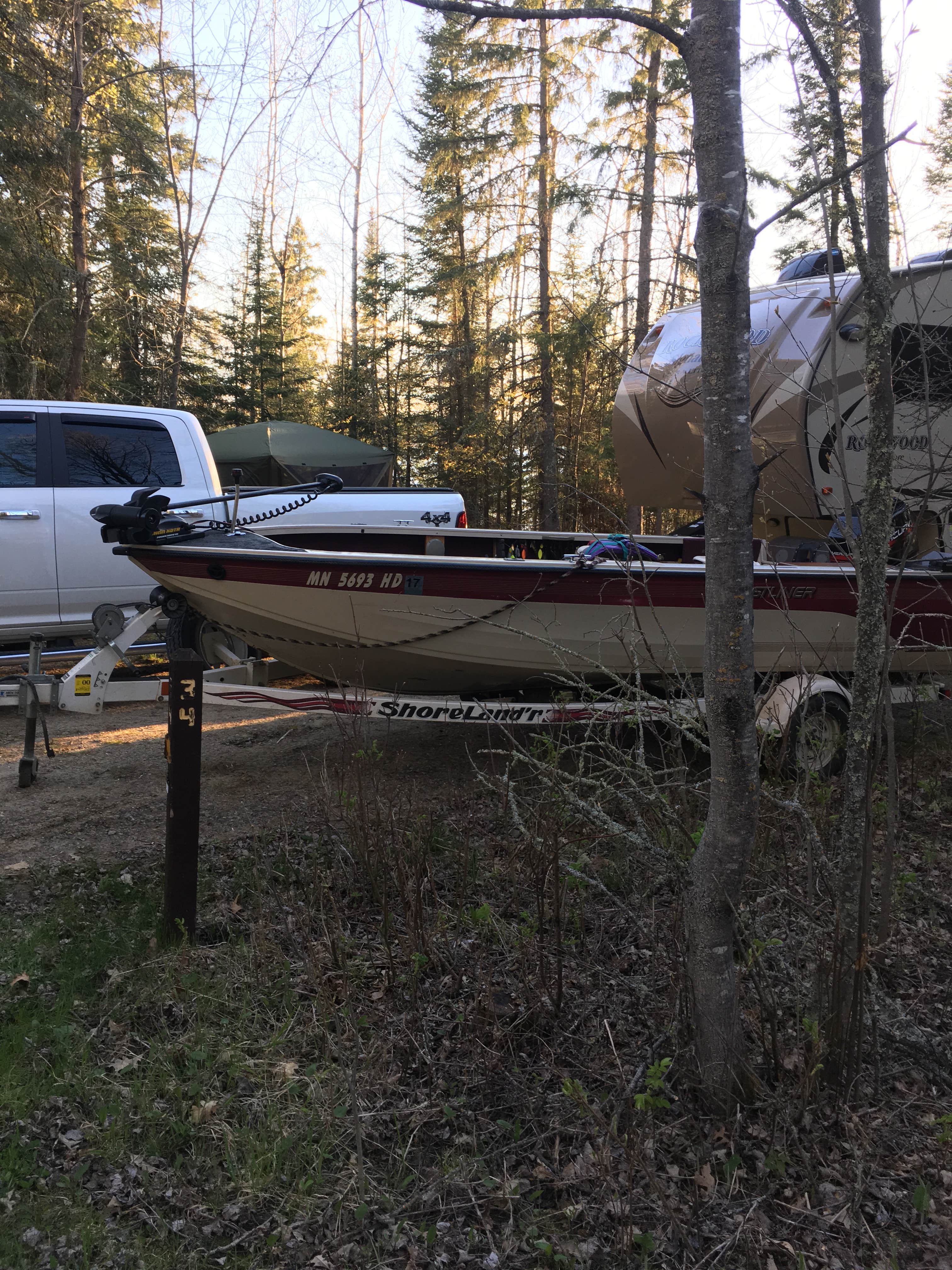 Camper submitted image from North Star — Chippewa National Forest - 5