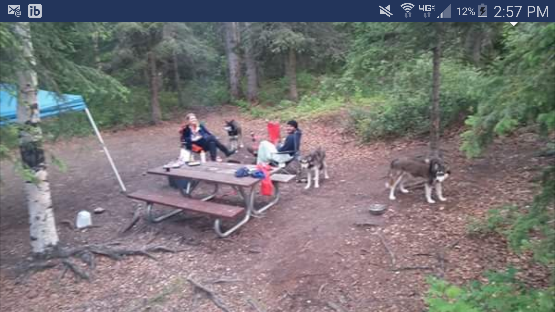 Camper submitted image from Eklutna - Chugach State Park - 4
