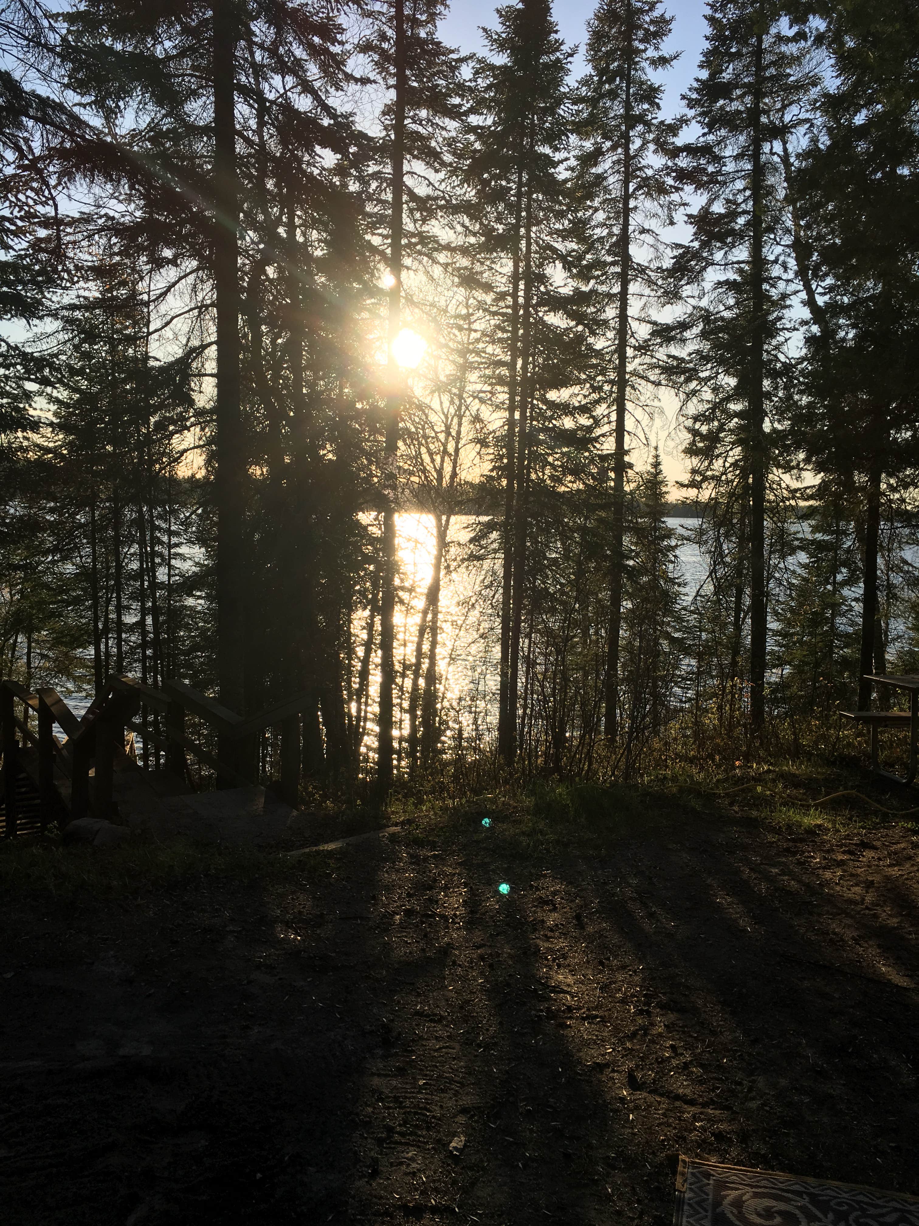 Camper submitted image from North Star — Chippewa National Forest - 3
