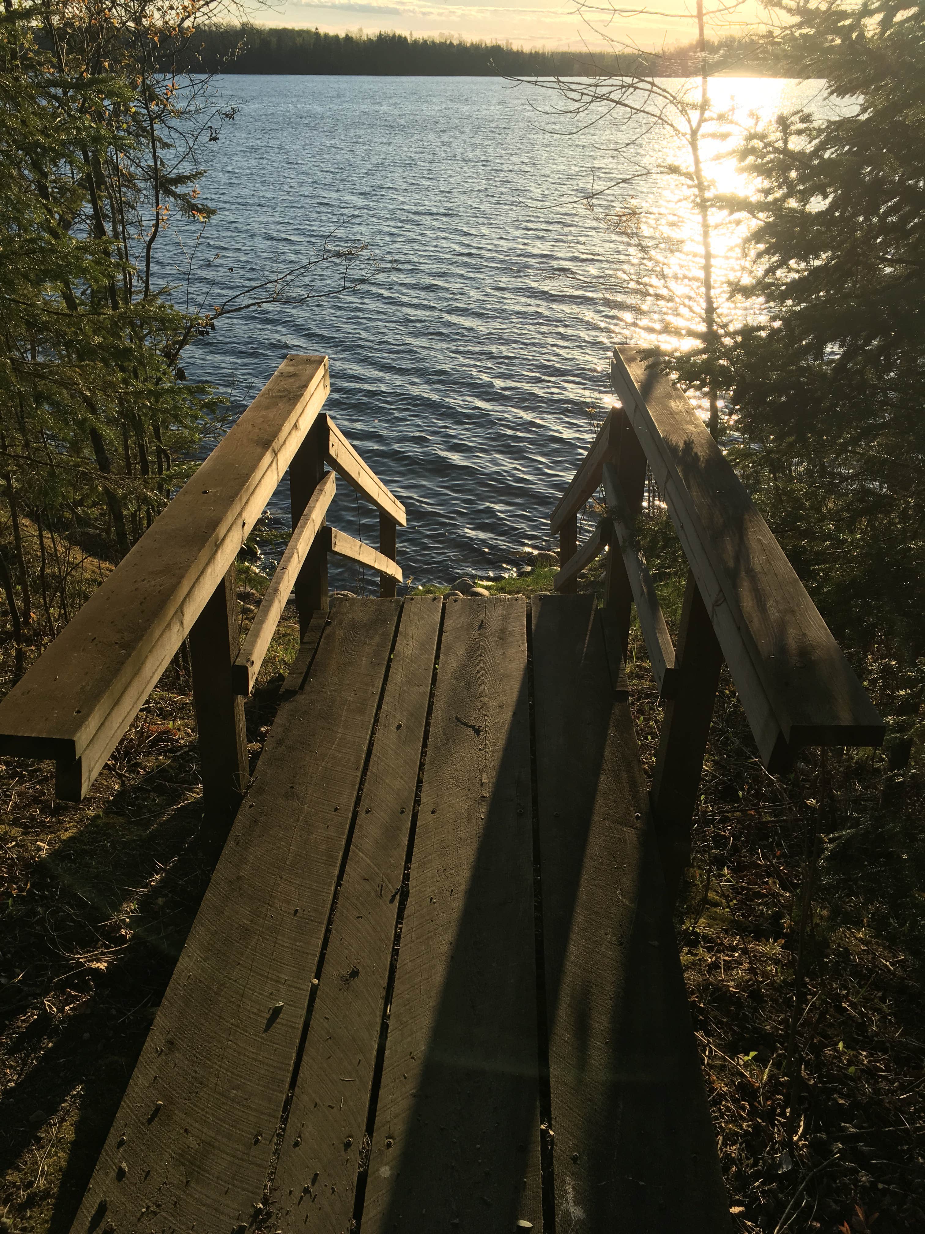 Camper submitted image from North Star — Chippewa National Forest - 1