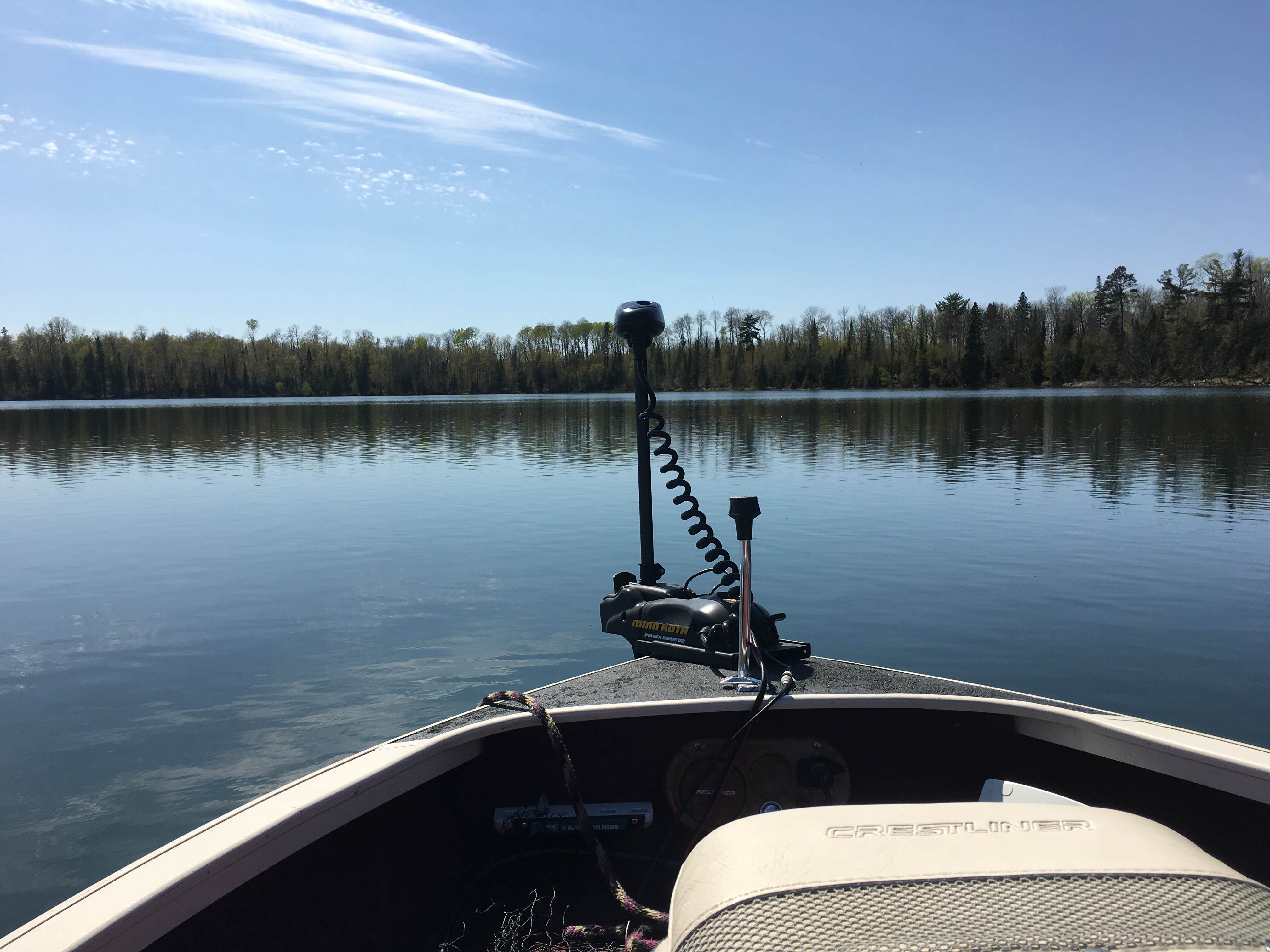 Camper submitted image from North Star — Chippewa National Forest - 4
