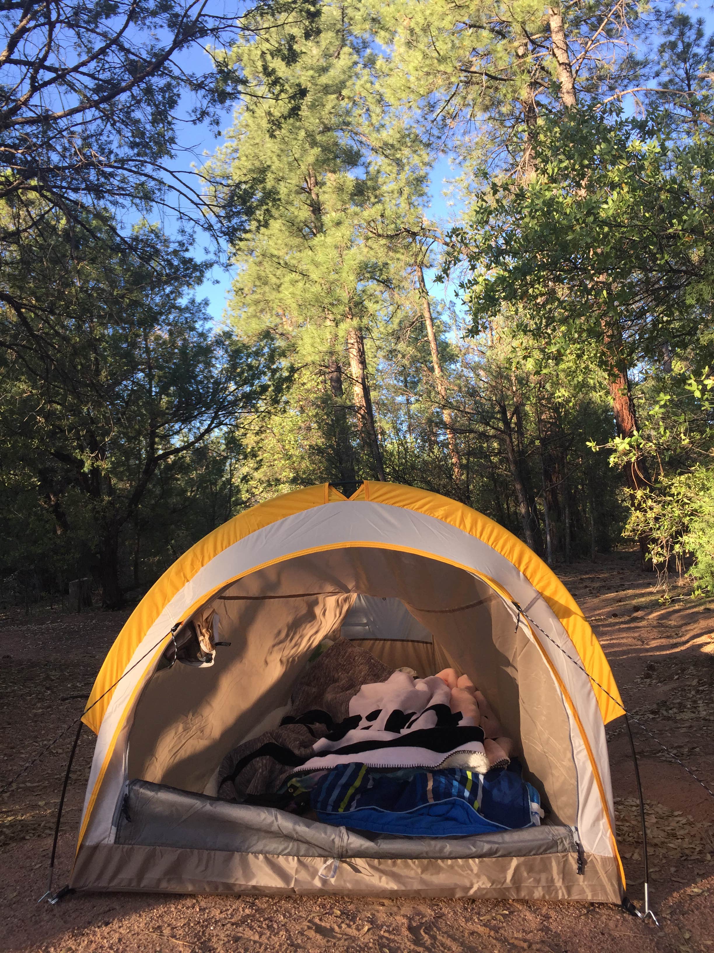 Liza C.'s photo at Houston Mesa Campground near Sun Valley, AZ