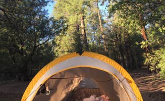 Liza C.'s photo at Houston Mesa Campground near Pine, AZ