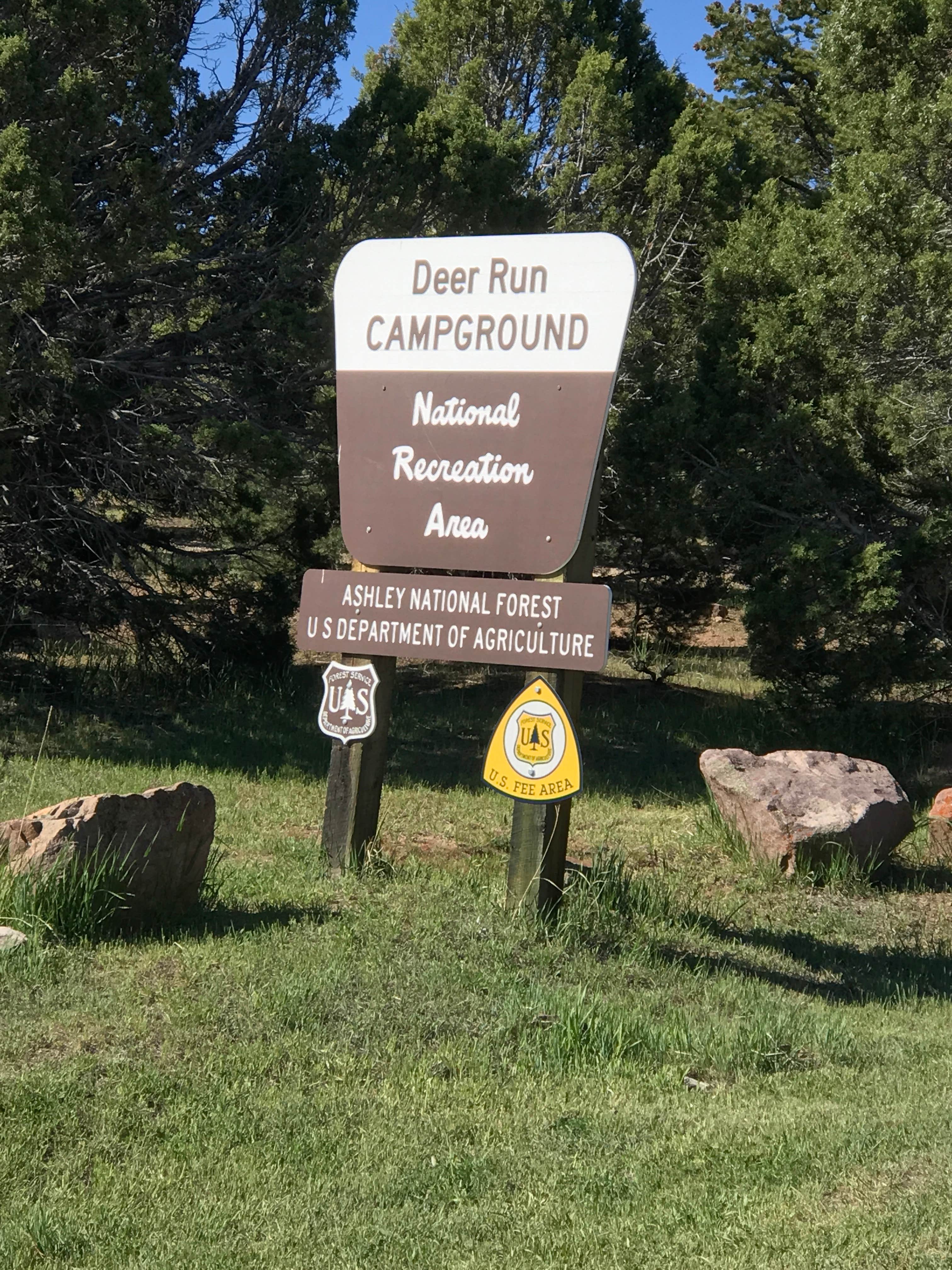 Camper submitted image from Deer Run Campground - 4