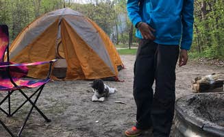 Amy M.'s photo at Warren Dunes State Park Campground near Union Pier, MI