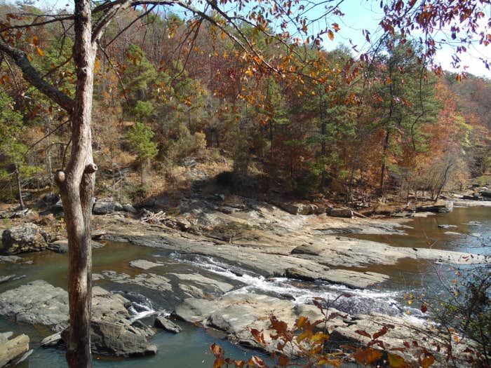 Camper submitted image from Sweetwater Creek State Park Campground - 3