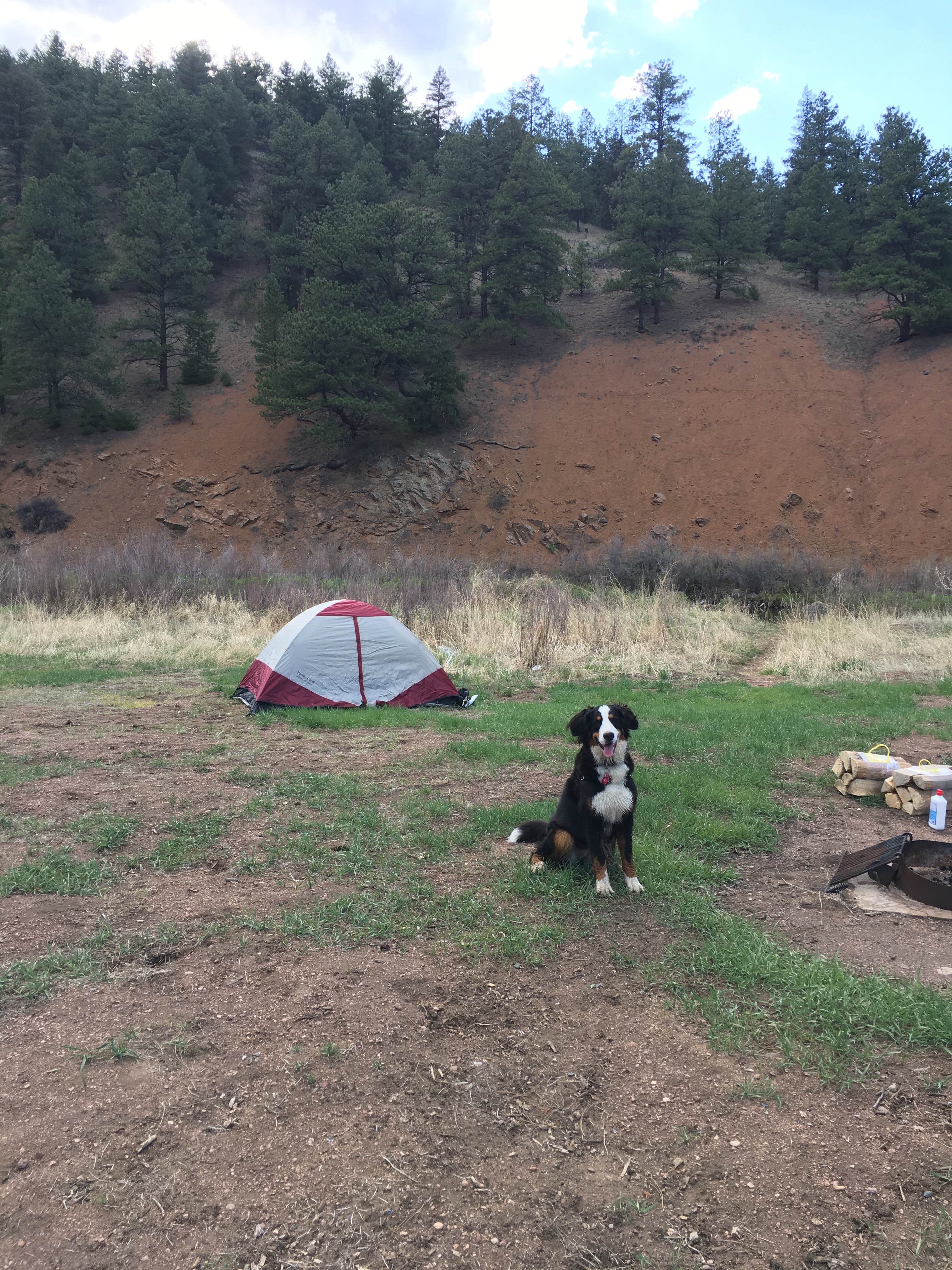 Mitch A.'s photo of tent camping at Osprey near Buffalo Creek, CO
