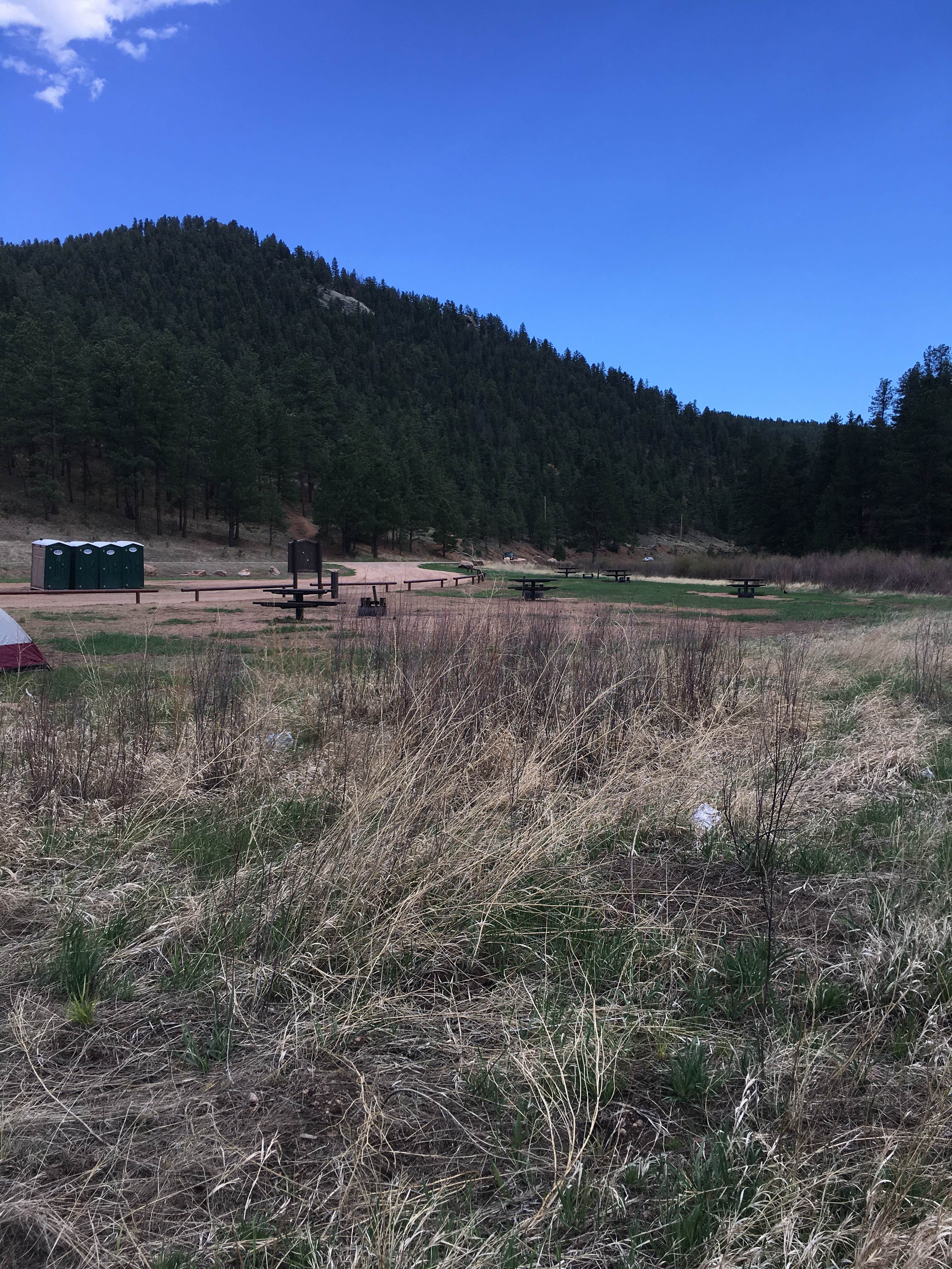 Camper-submitted photo at Osprey near Buffalo Creek, CO