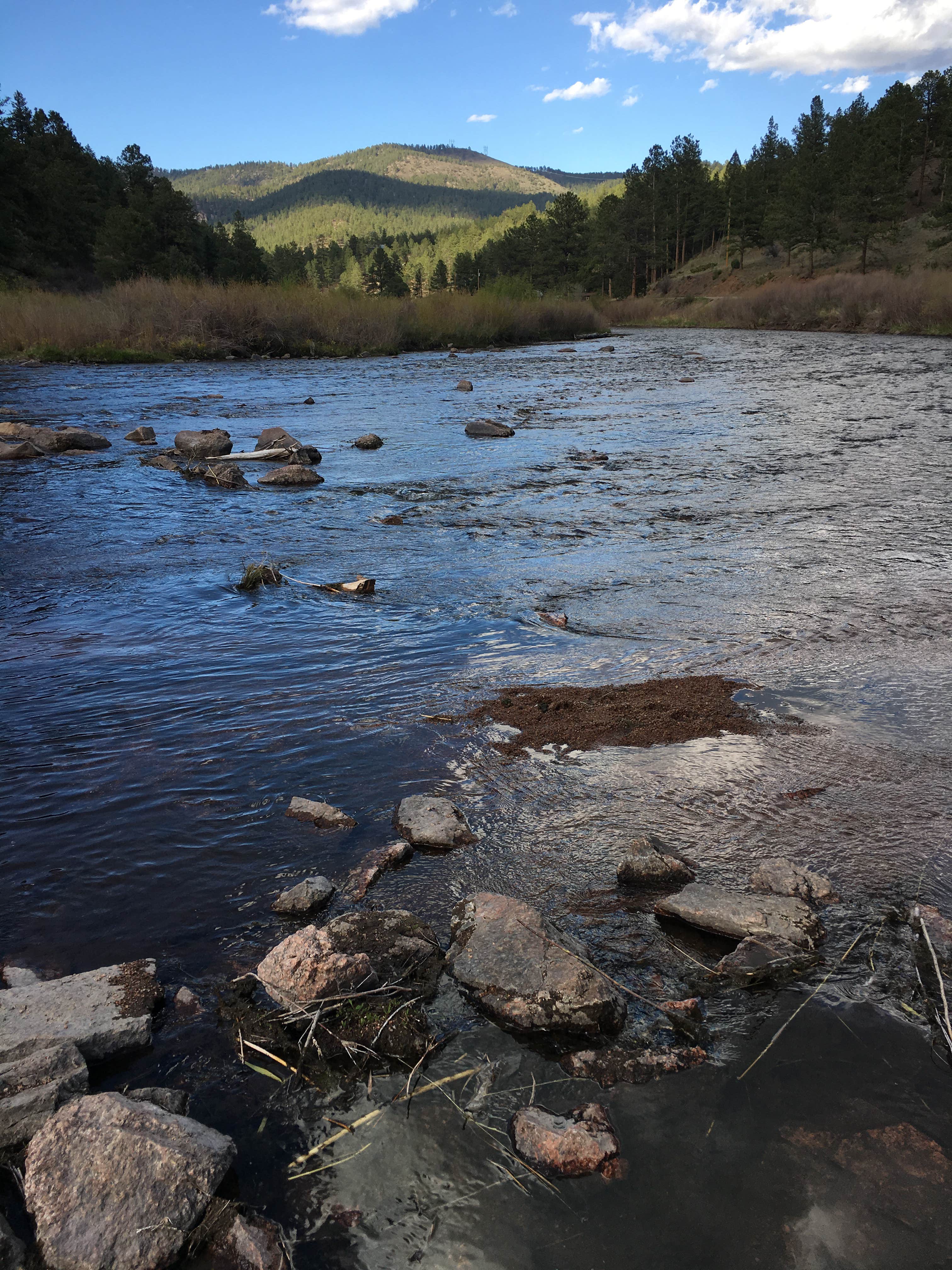 Camper submitted image from Osprey - 3