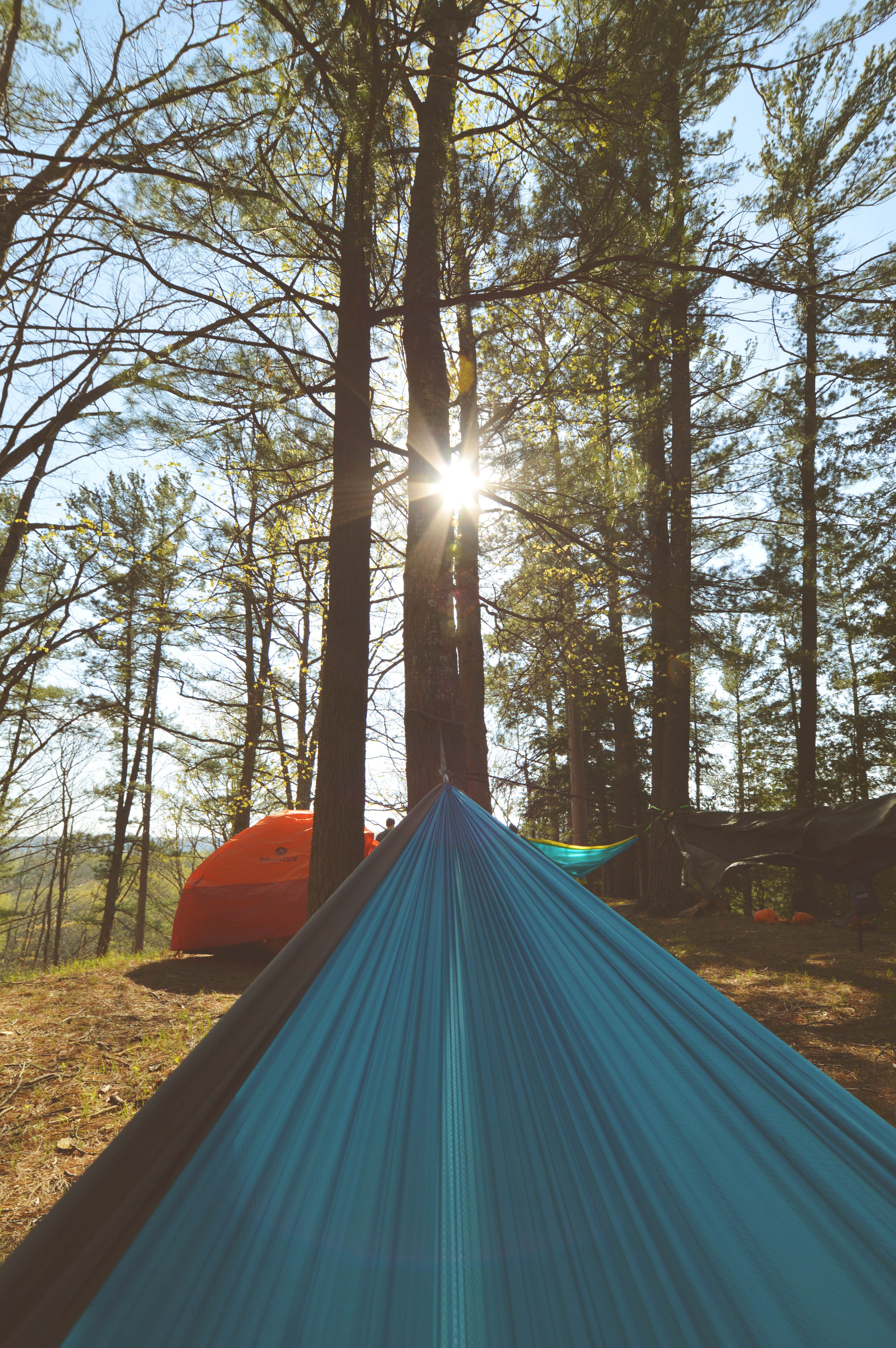 Camper submitted image from Huron-Manistee National Forest - 2