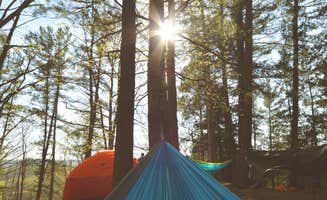Anna C.'s photo at Huron-Manistee National Forest near Curran, MI