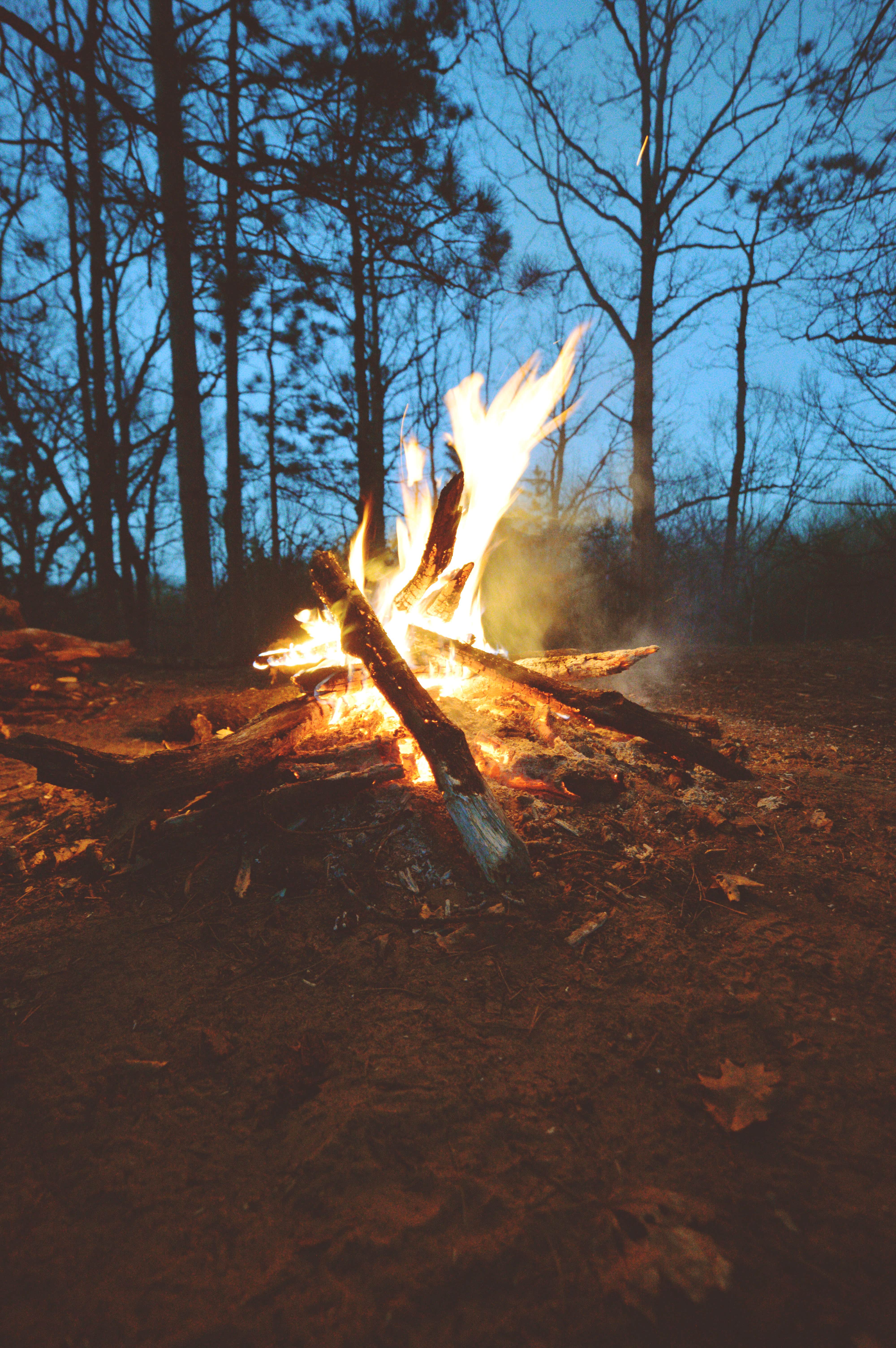 Anna C.'s photo at Huron-Manistee National Forest near Barton City, MI