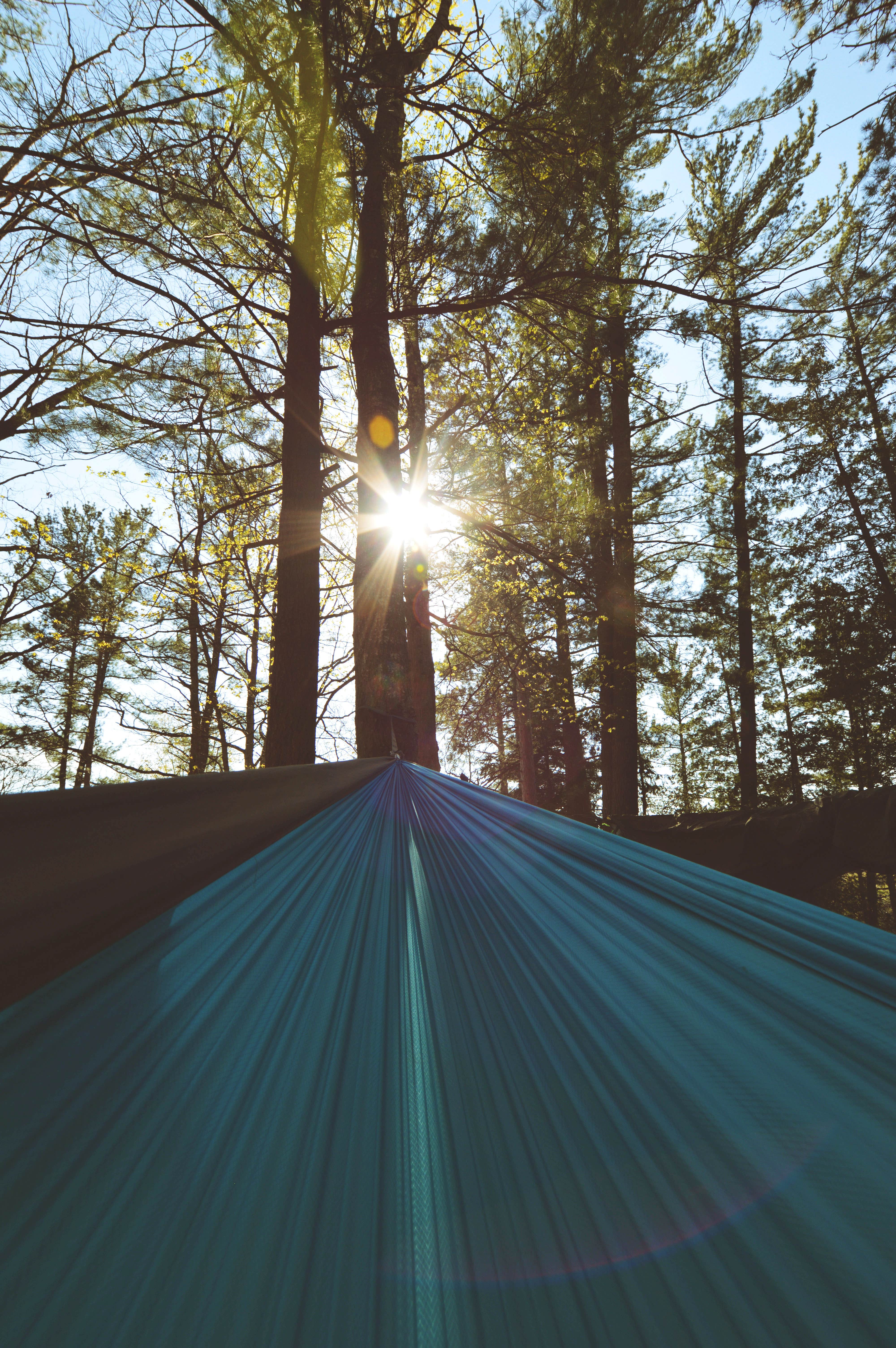 Camper submitted image from Huron-Manistee National Forest - 3