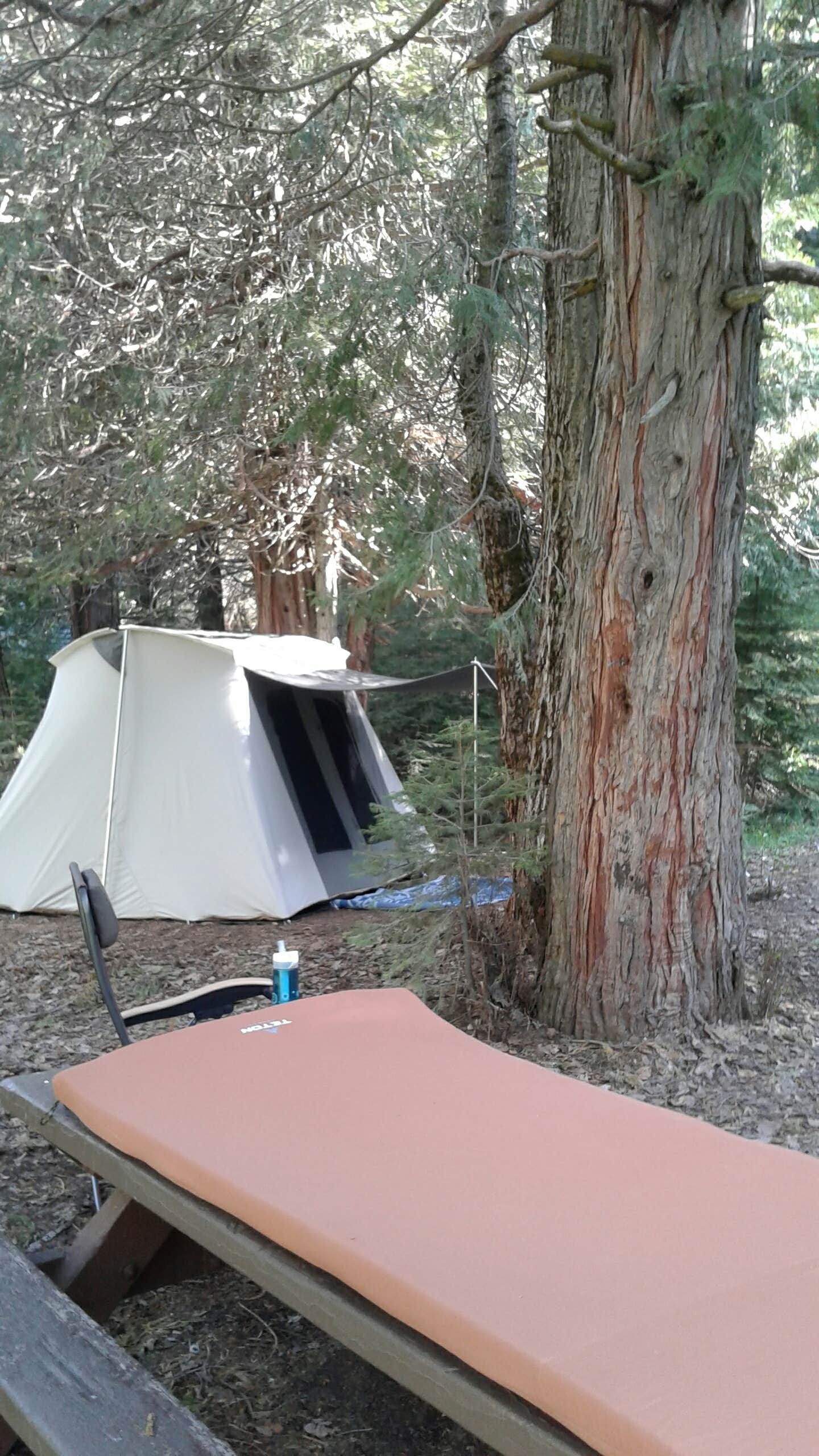 Camper submitted image from Summerdale Campground - Sierra National Forest - 5