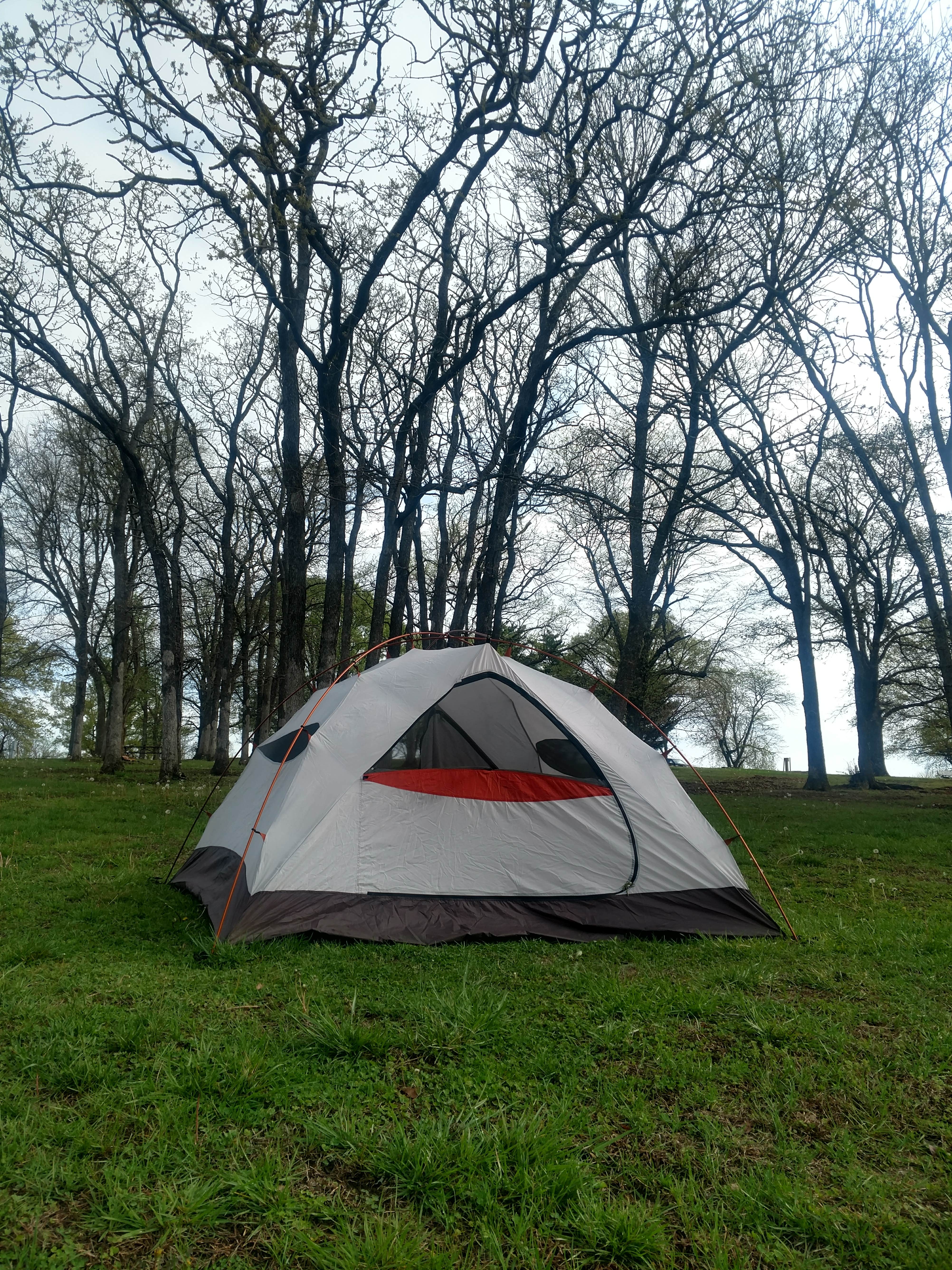 Camper submitted image from Lake Jacomo - Fleming Park - 5