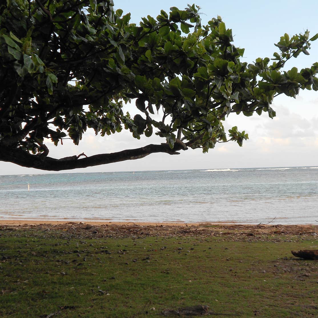 Anini Beach Park Camping The Dyrt