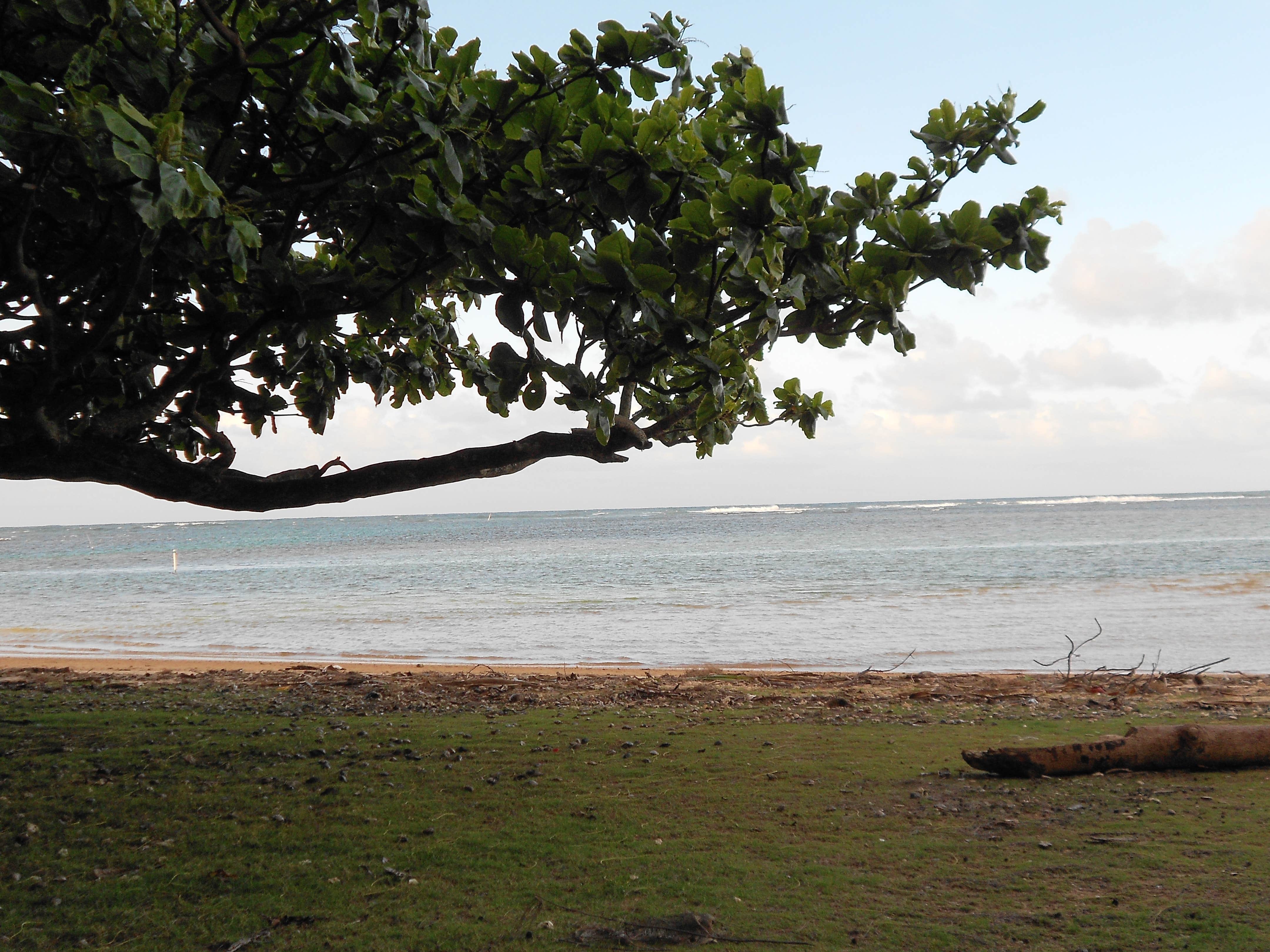 Camper submitted image from Anini Beach Park - 4