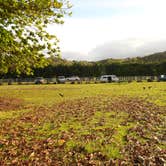 Review photo of Anini Beach Park by Valerie S., June 18, 2016