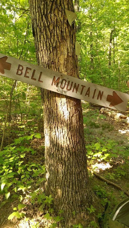 Camper submitted image from Sutton Bluff Recreation Area - 2