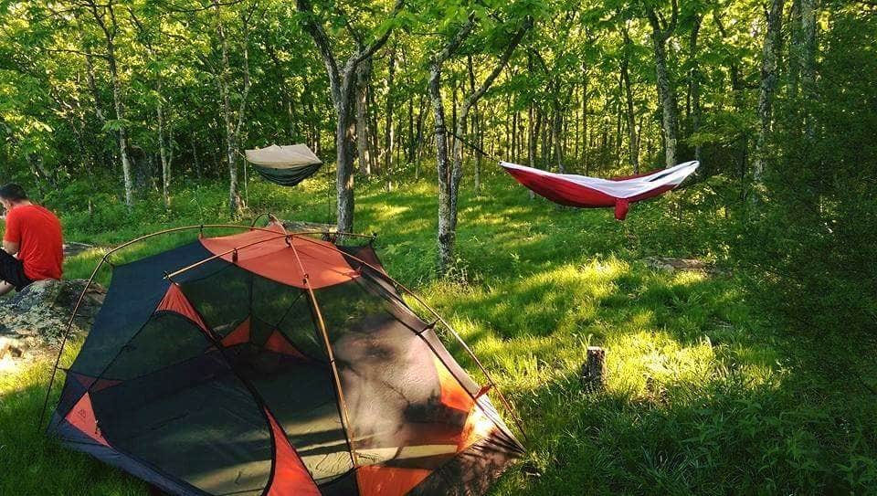 Camper submitted image from Sutton Bluff Recreation Area - 5
