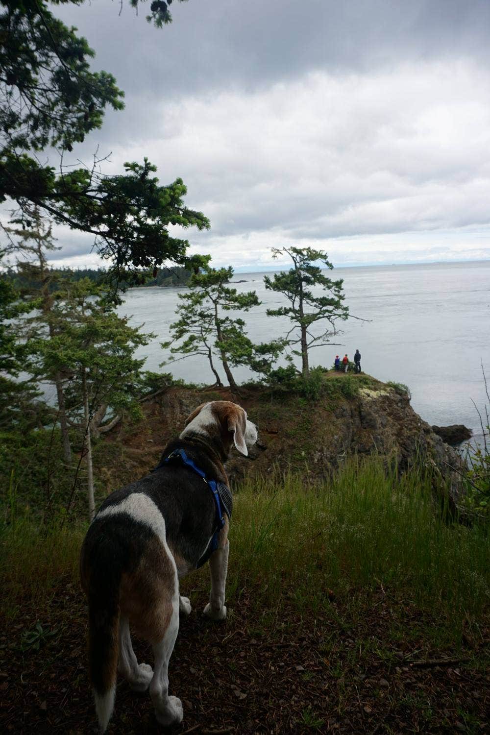 Jill T.'s photo of camping with pets at Deception Pass State Park Campground near Bellingham, WA