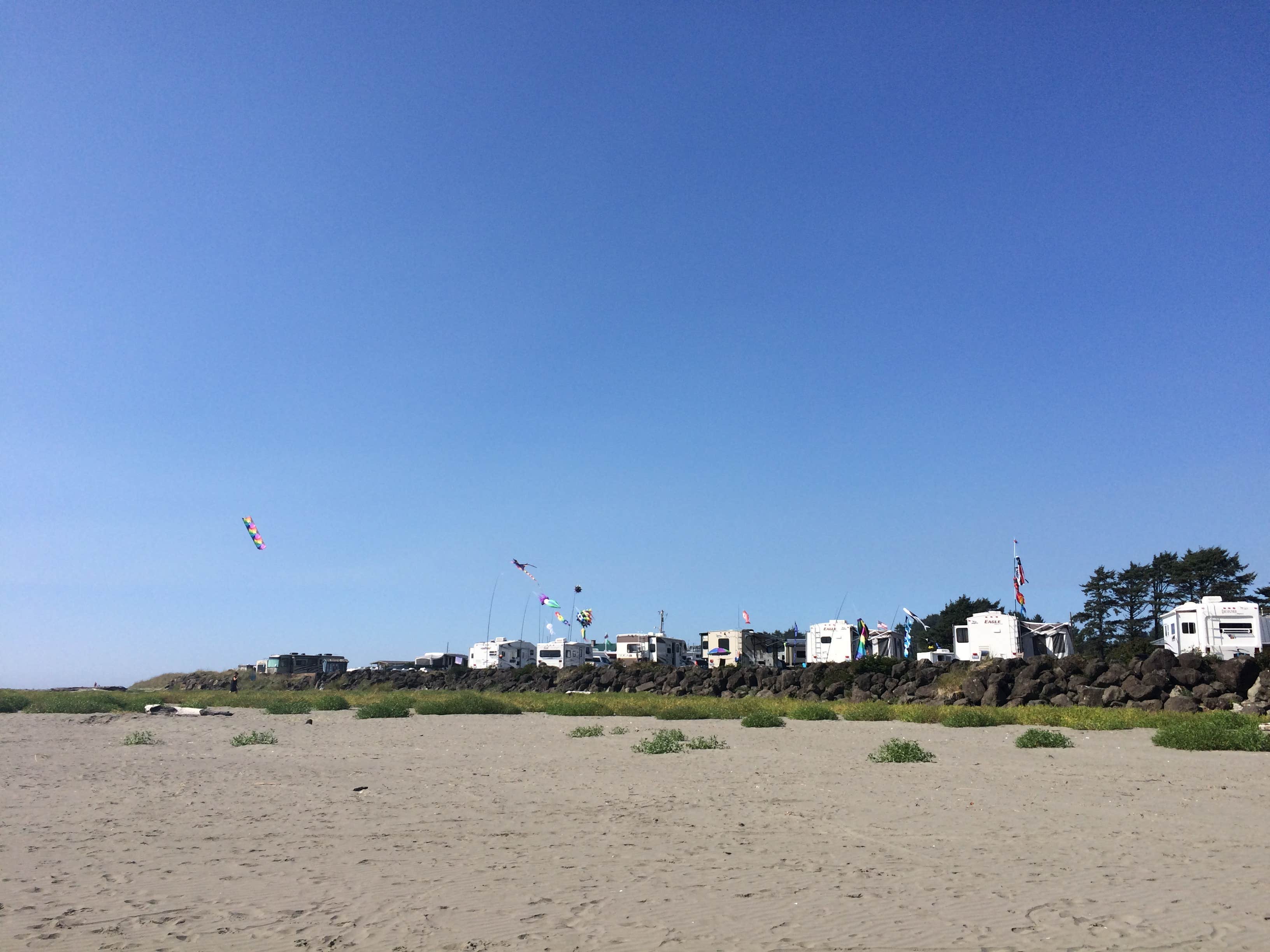 Camper submitted image from Pacific Beach State Park Campground - 3
