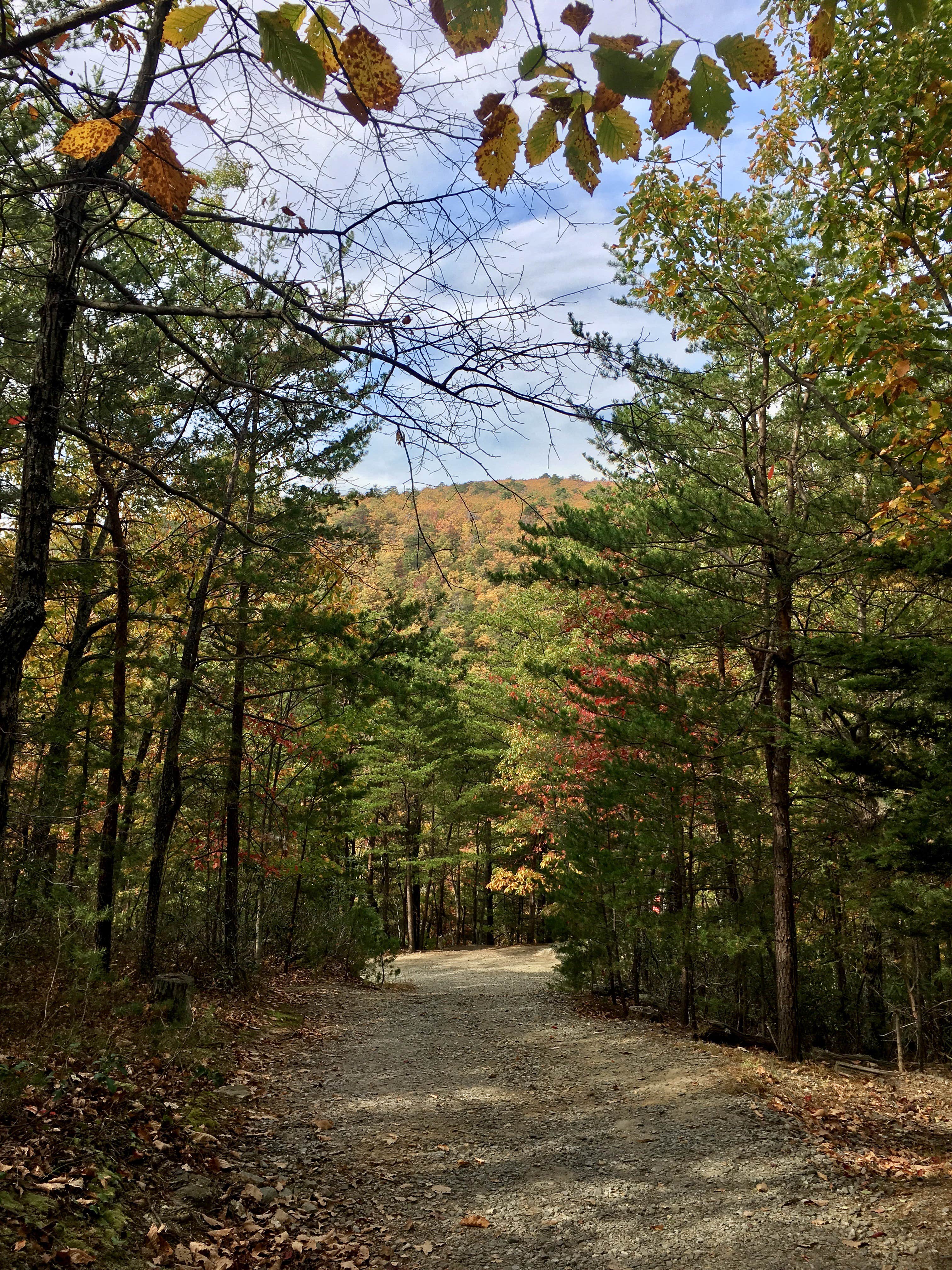Camper submitted image from Hanging Rock State Park Campground - 3