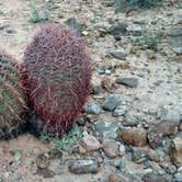 Review photo of Atlatl Rock Campground — Valley of Fire State Park by John W., May 15, 2017