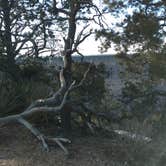 Review photo of Mather Campground — Grand Canyon National Park by John W., May 15, 2017