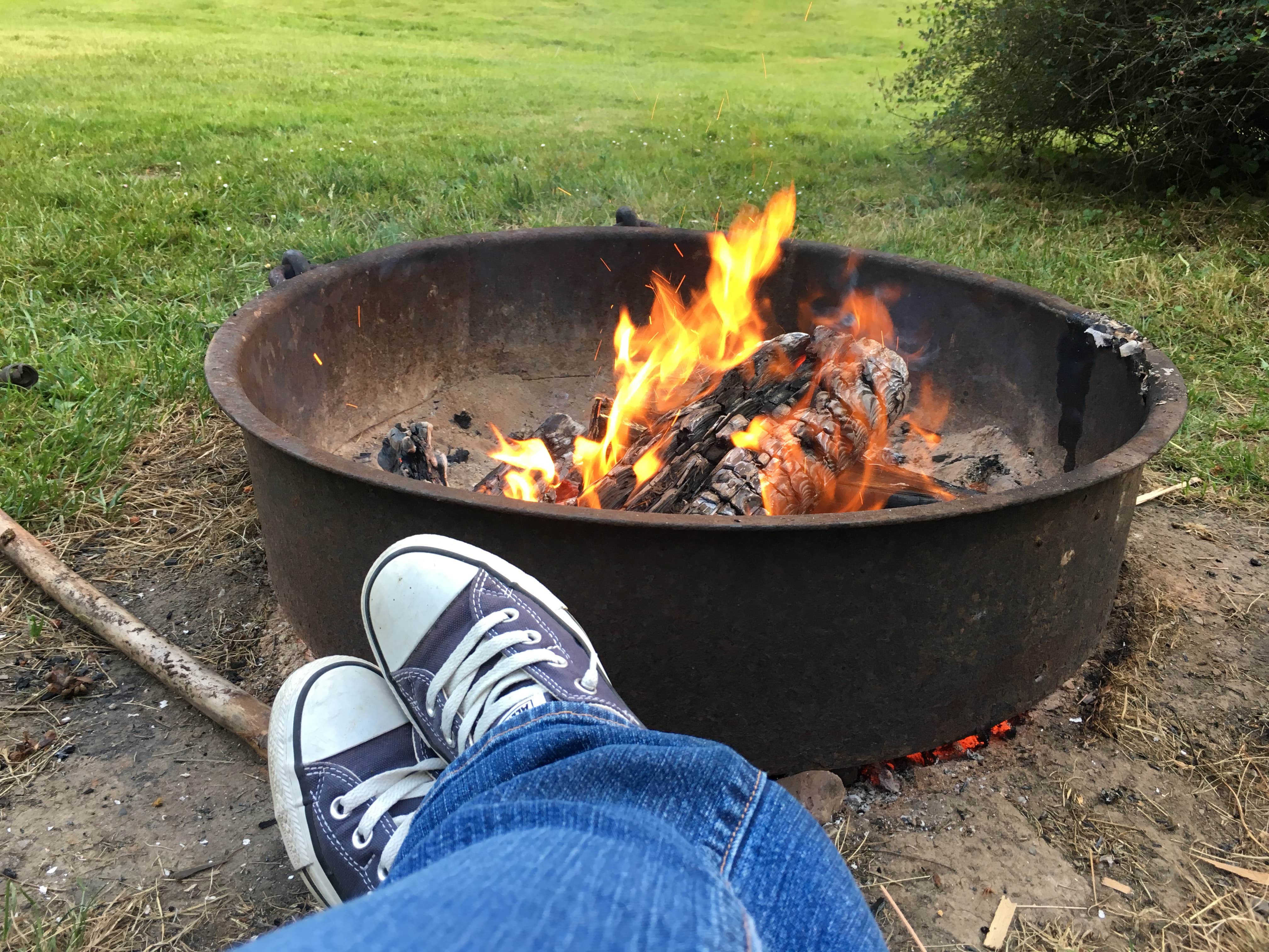 Colleen T.'s photo at Dosewallips State Park Campground near Poulsbo, WA