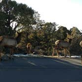 Review photo of Mather Campground — Grand Canyon National Park by John W., May 15, 2017
